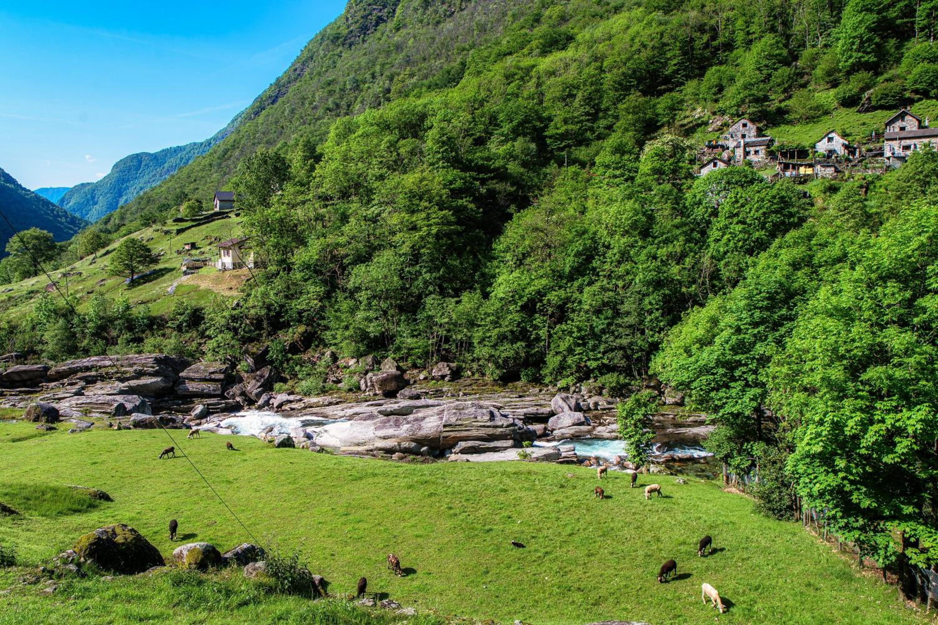 Casa al Fiume by Quokka 360 - House by the River in the Verzasca Valley