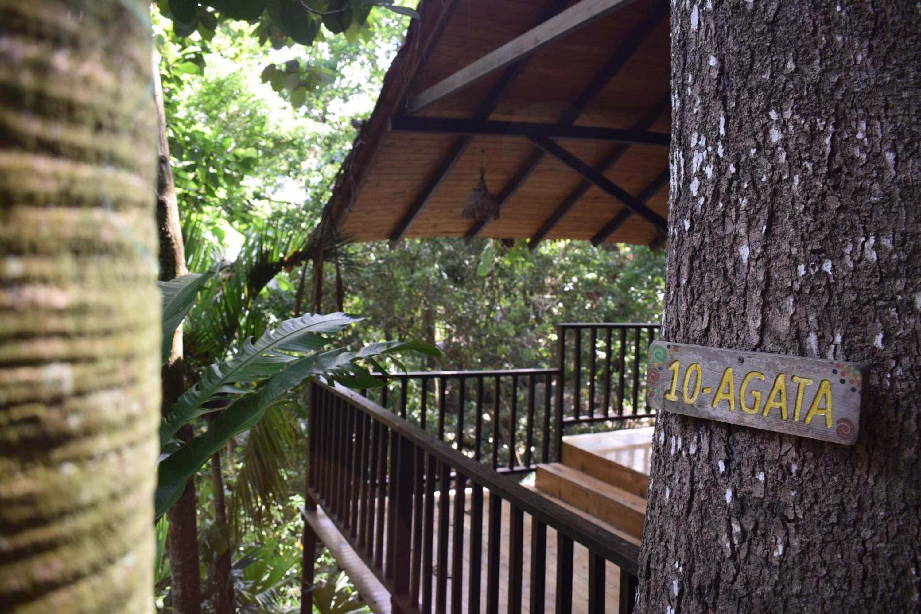 EcoHostal Rio Piedra