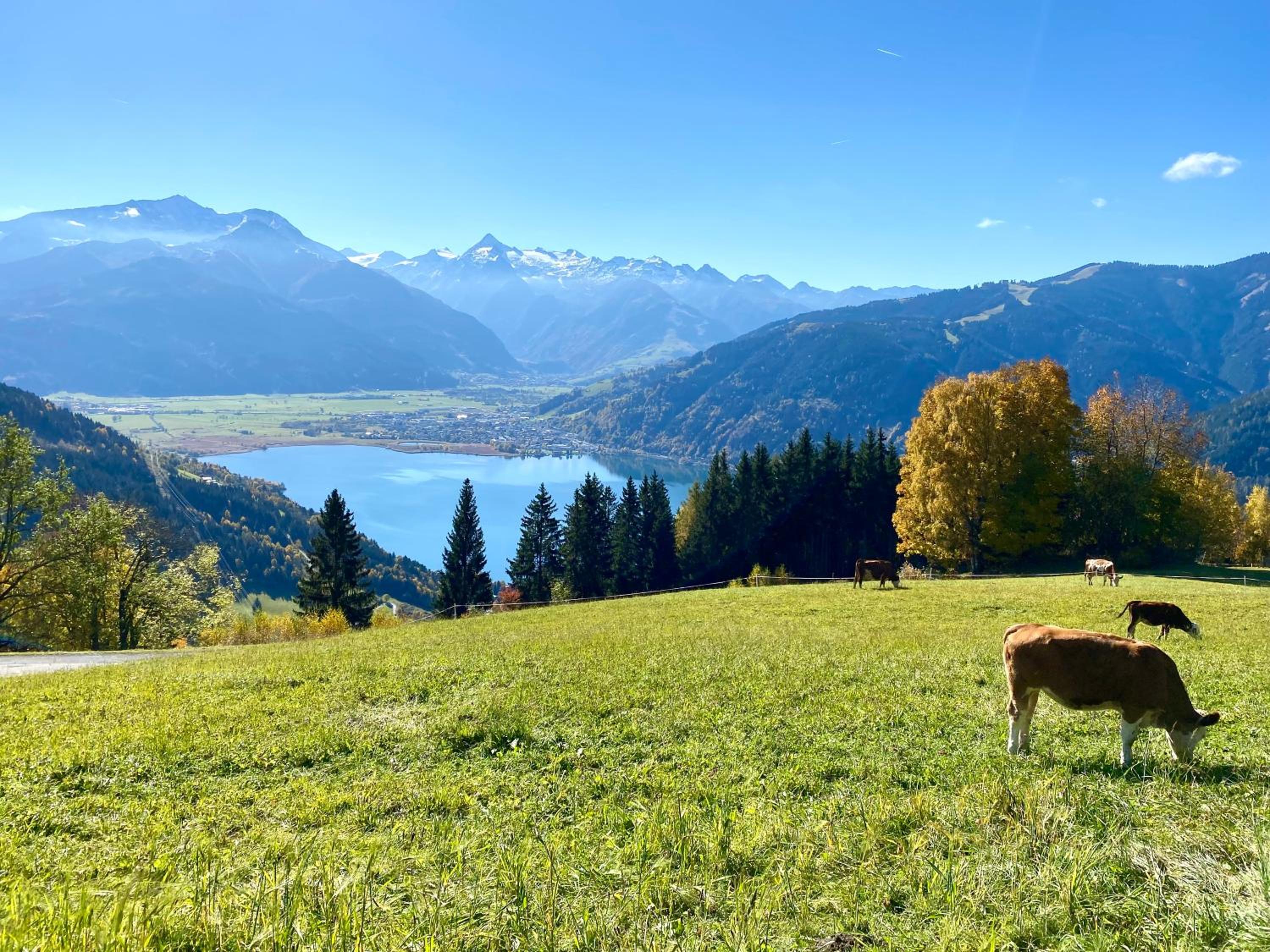 Adler Resort Kaprun by Jara