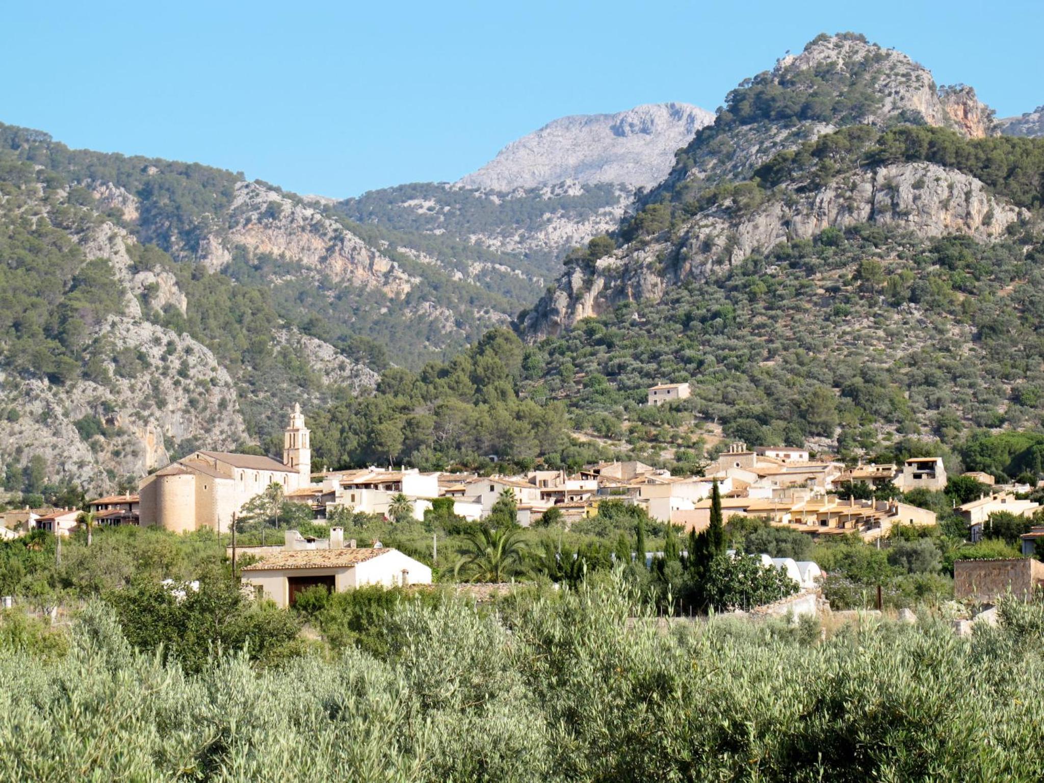 Photo 43