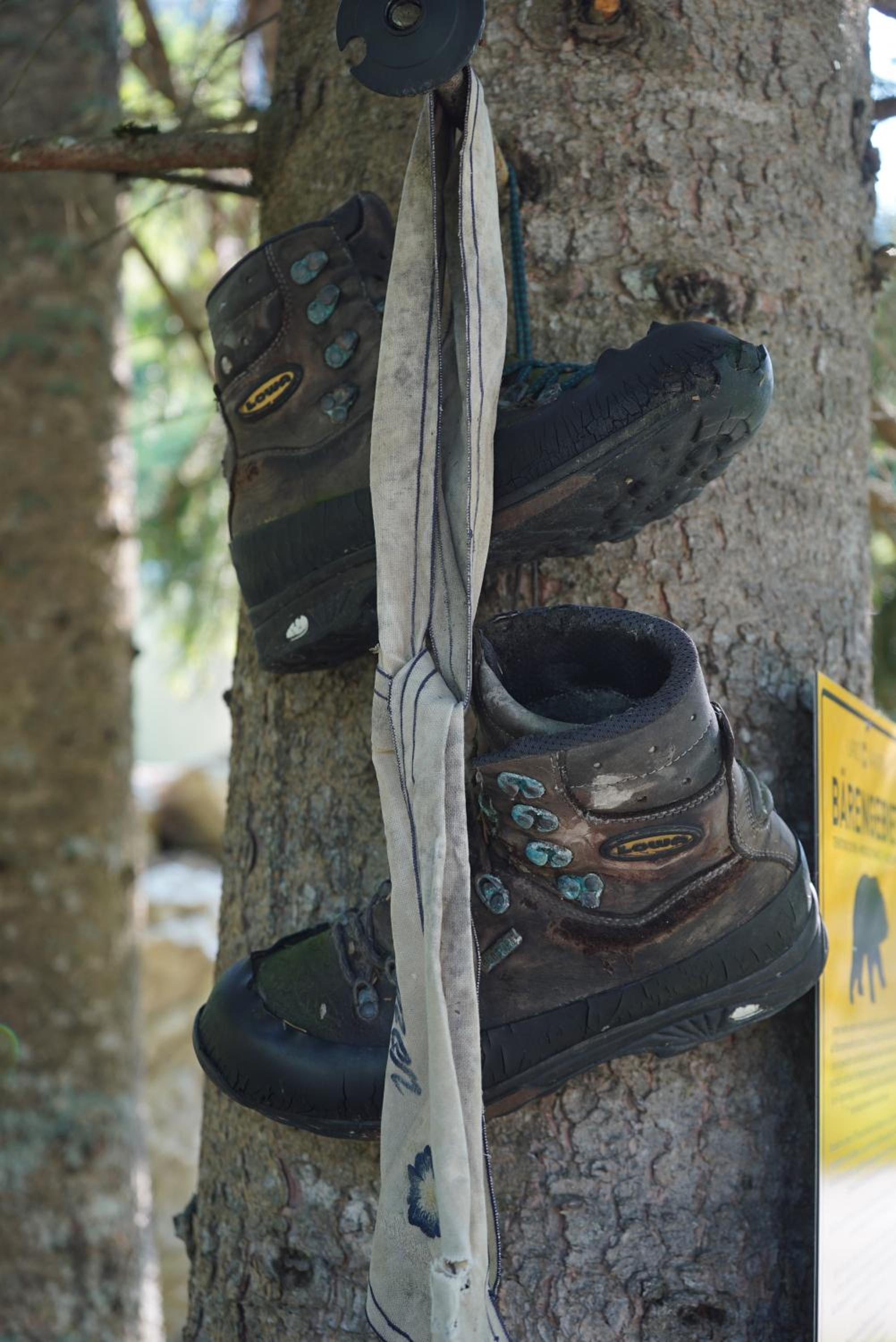 Photo 71