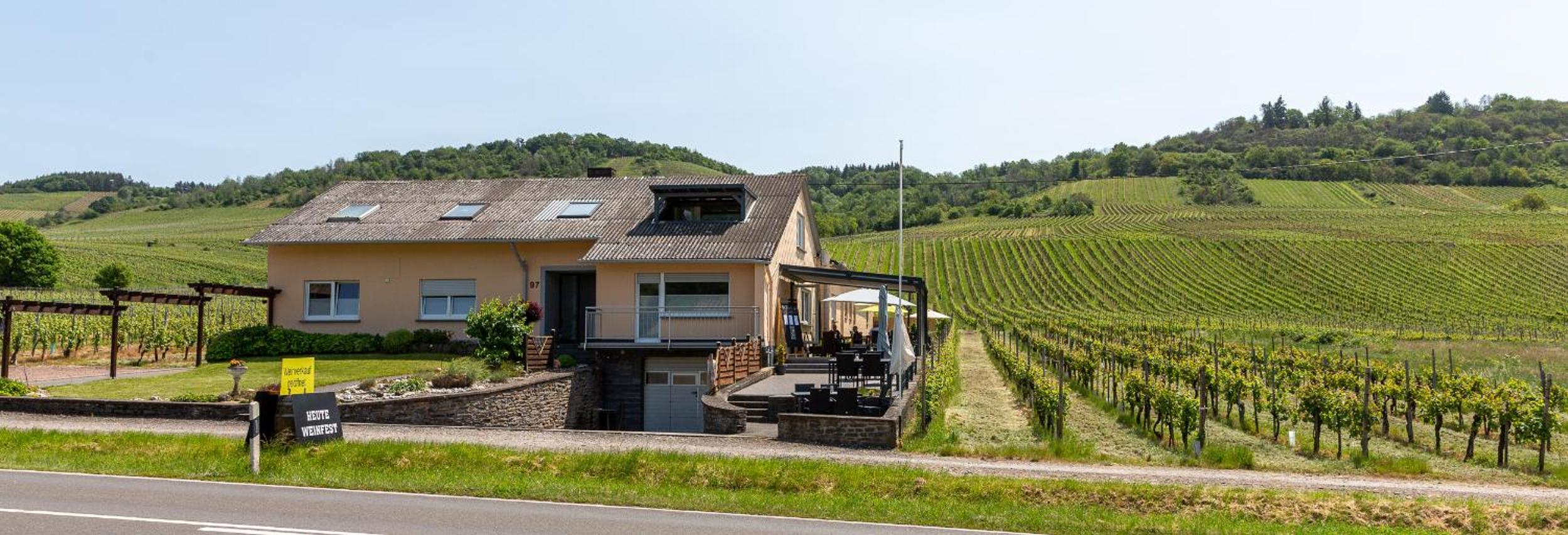 Weingut J. A. Meyer view 2