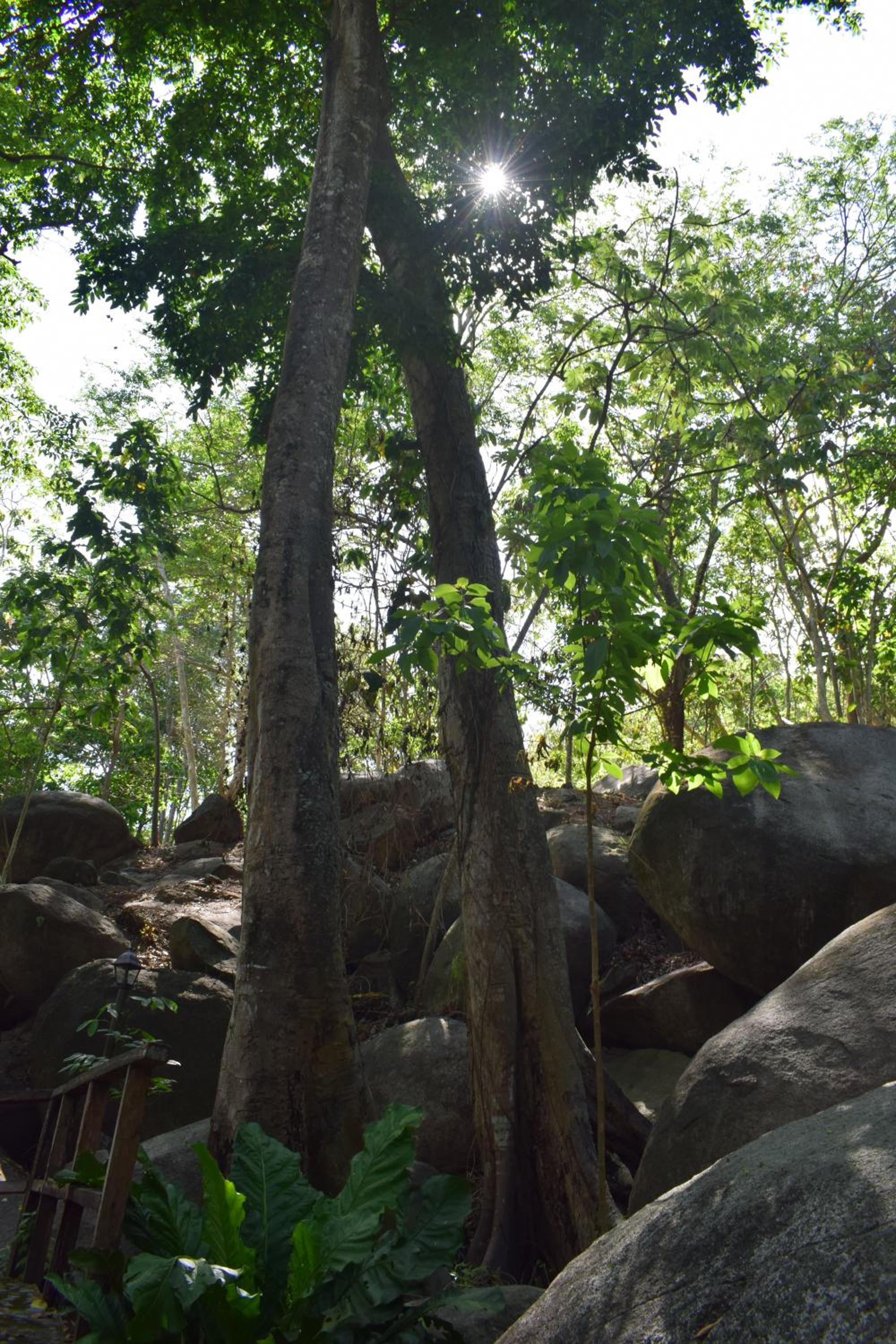 EcoHostal Rio Piedra