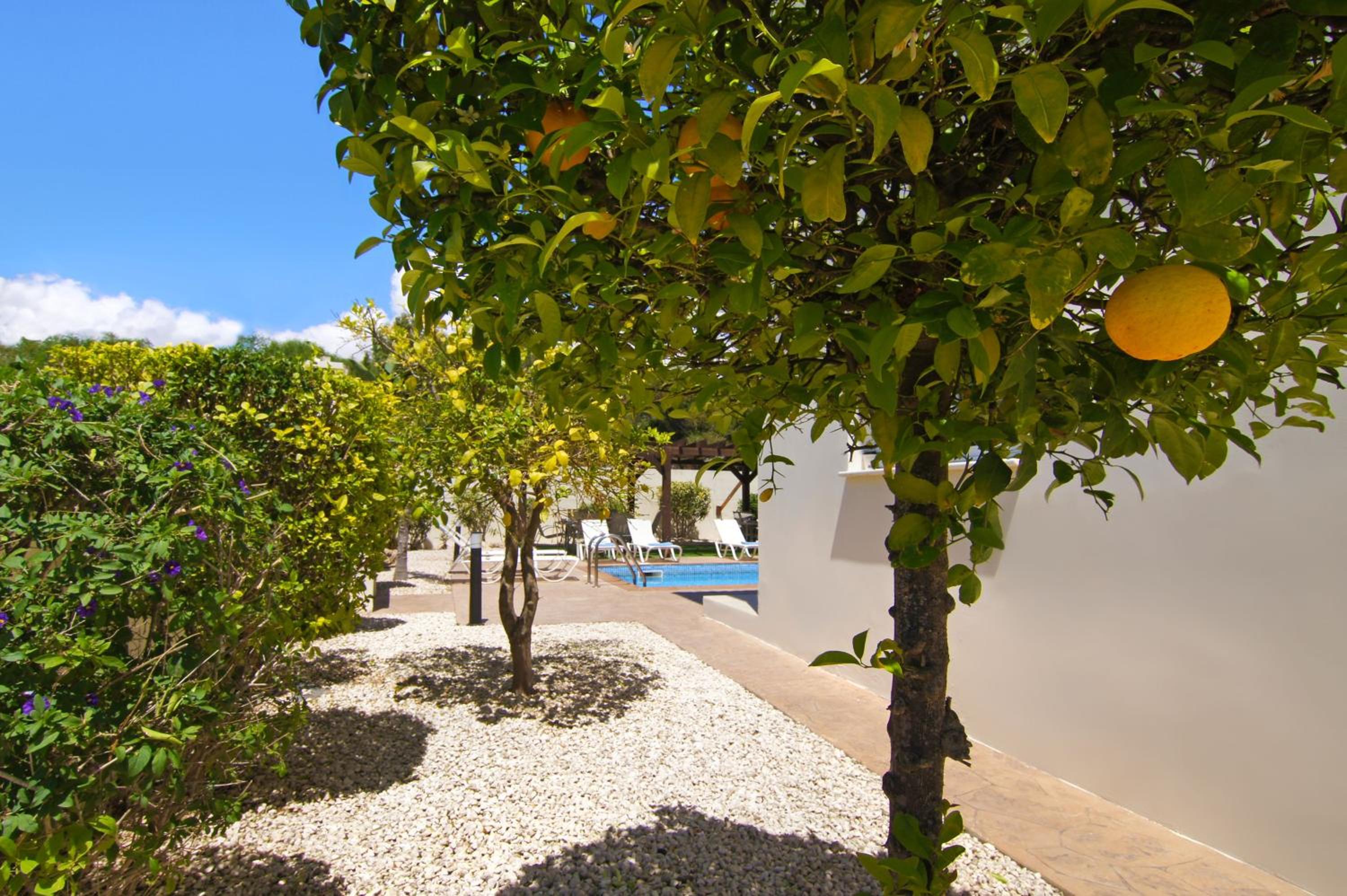 Nissi Adamite Villa