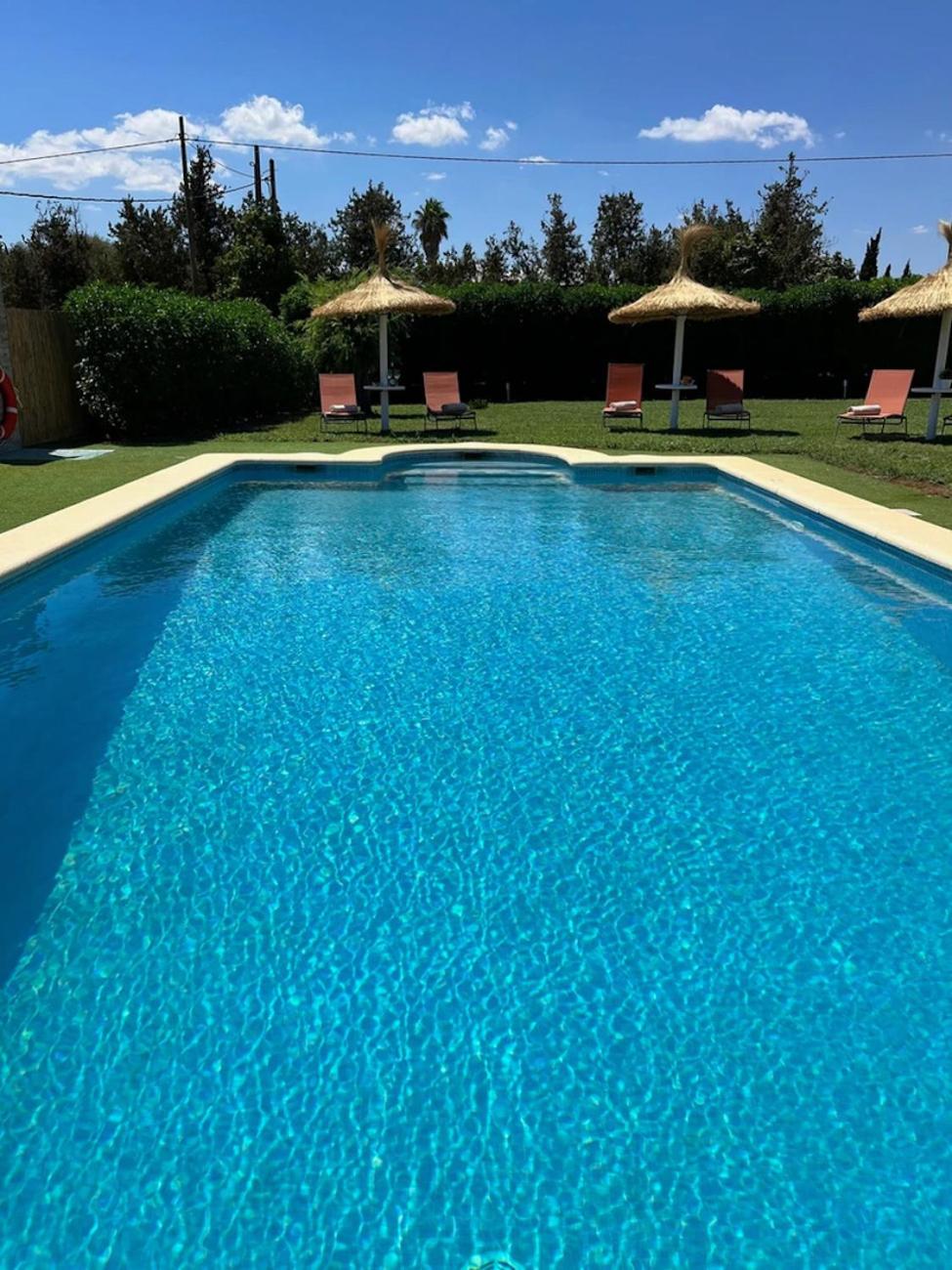 Villa Octopus by Bebreeze