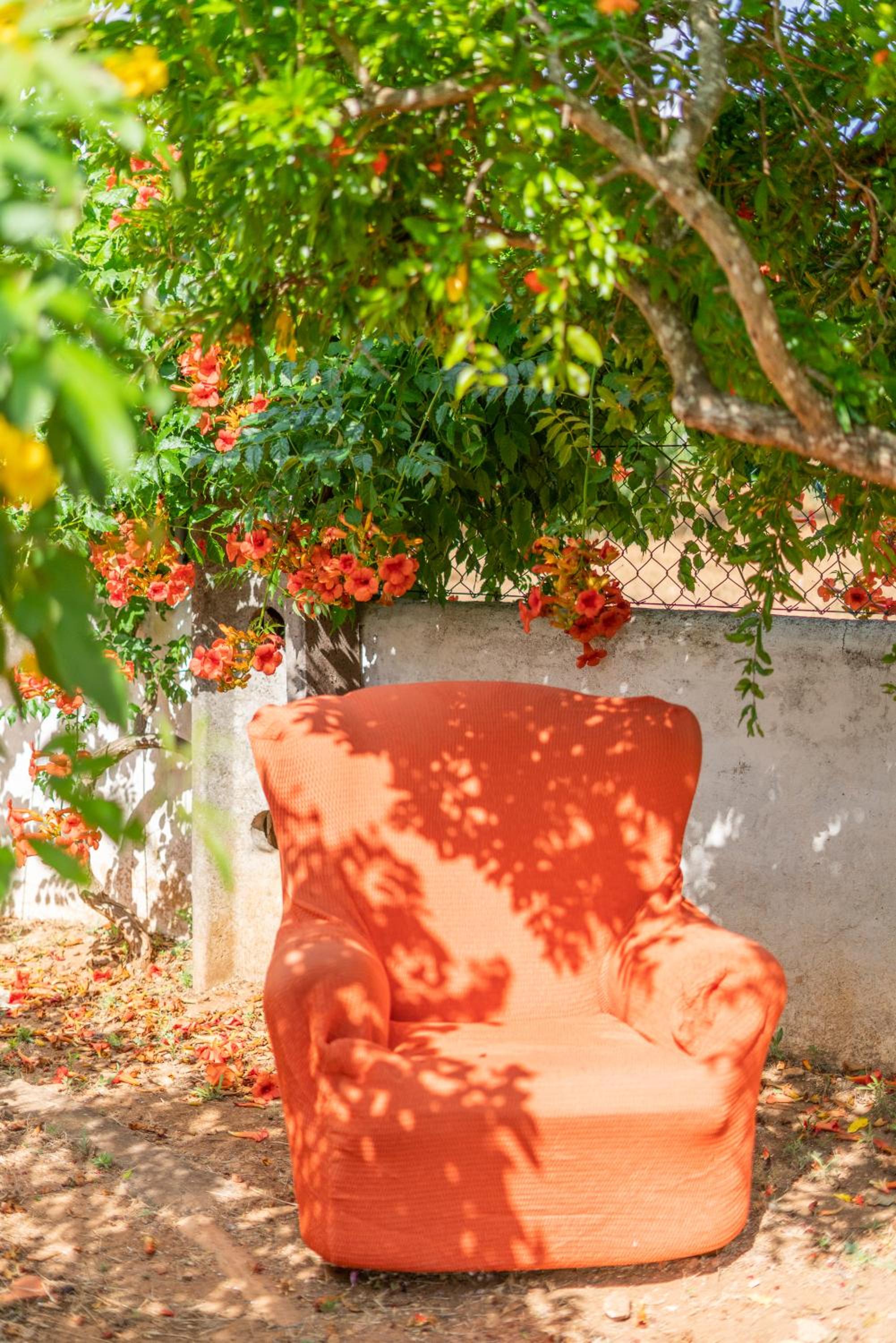 Vivenda Aromas do Algarve view 2