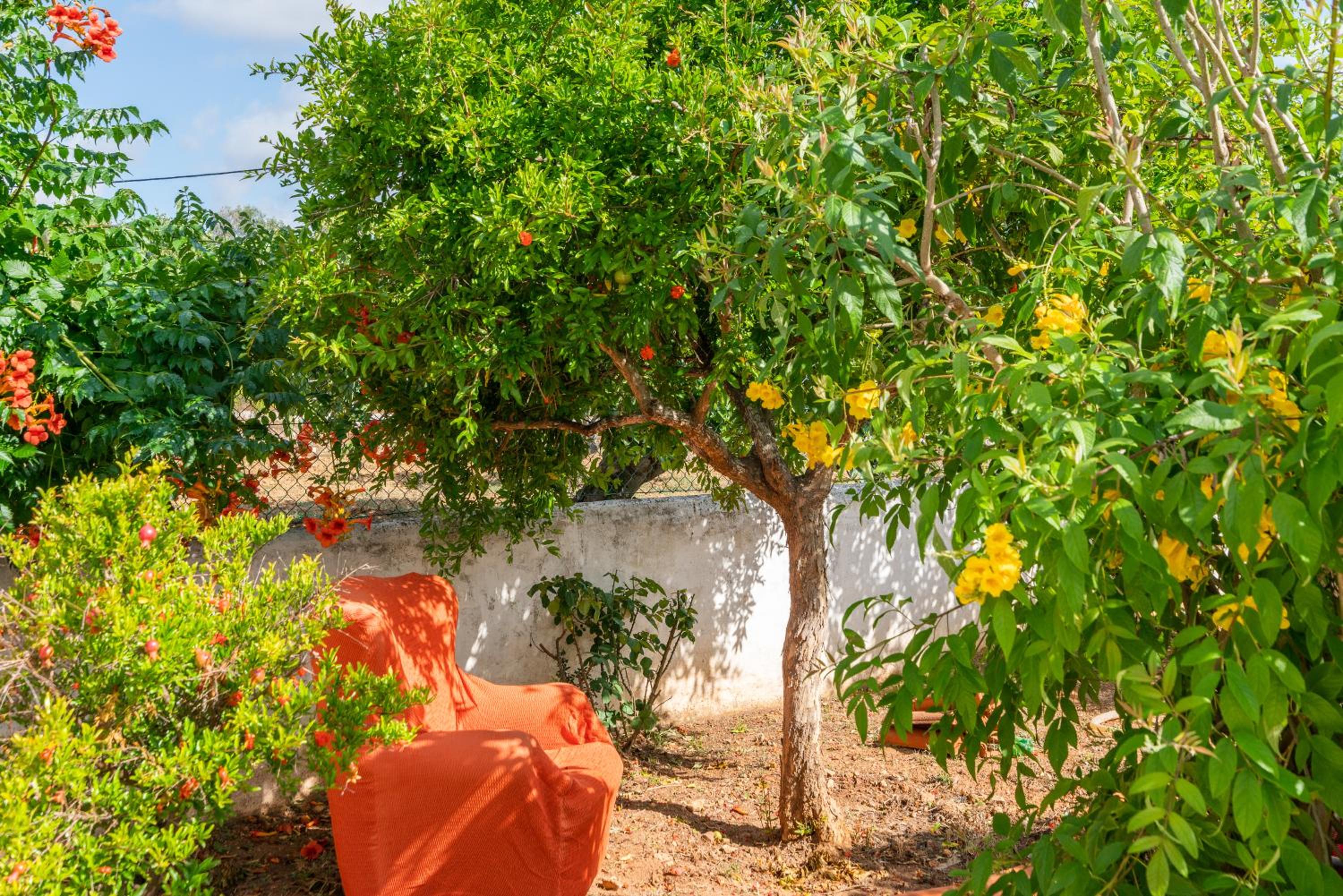 Vivenda Aromas do Algarve view 5