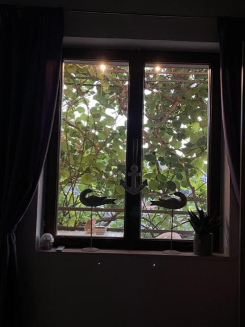Apartment Ines