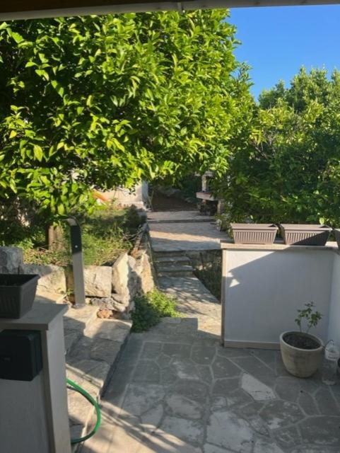 Apartment Ines