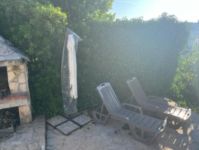 Apartment Ines