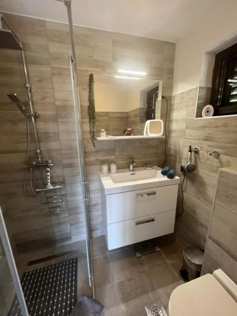 Apartment Ines