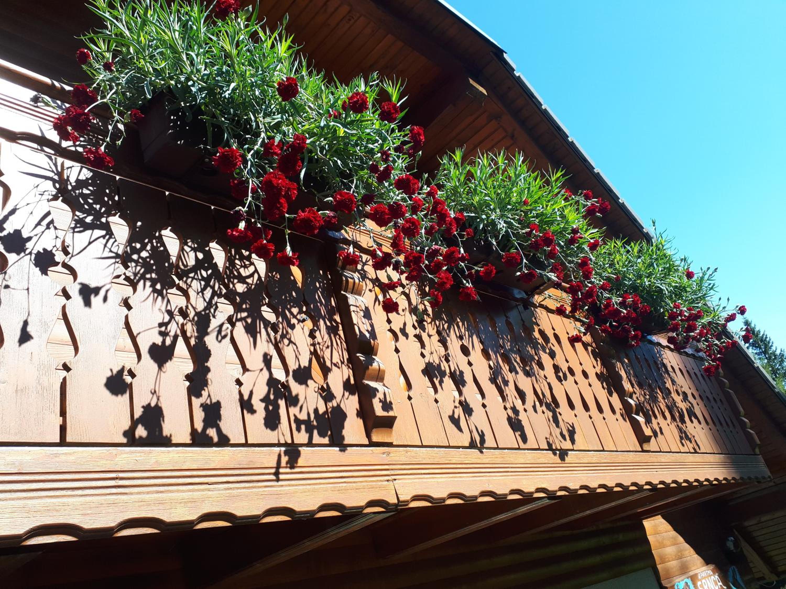 Apartmaji Srnca