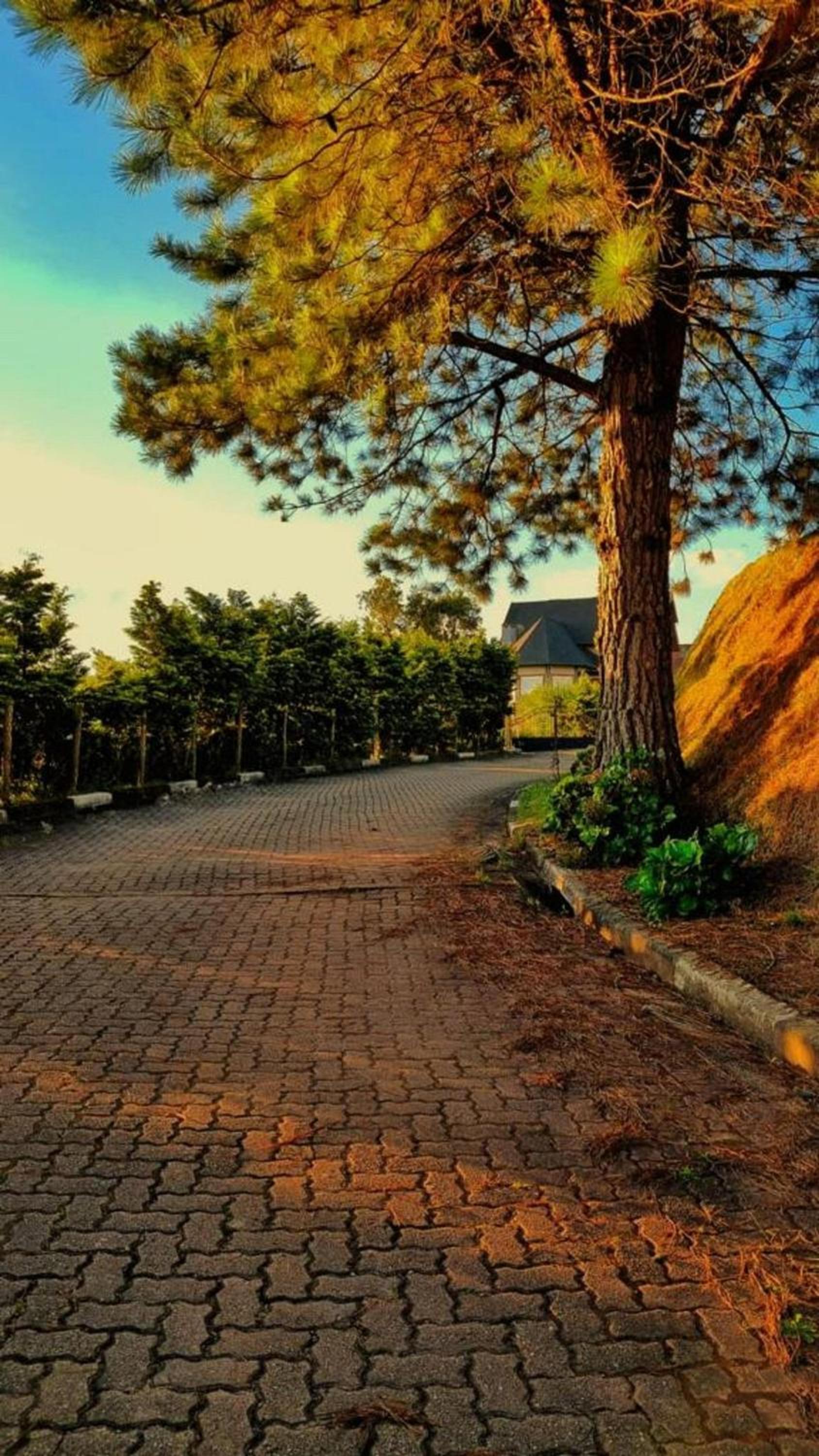 Maravilhosa casa em Campos do Jordão