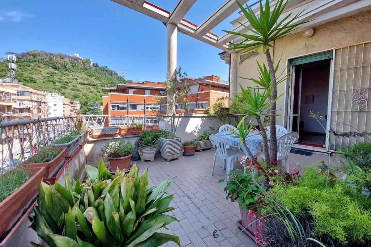 Teulada Terrace