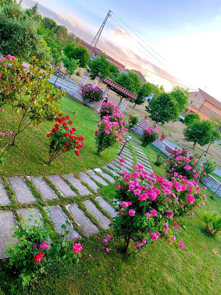 B&B da Mary view 4