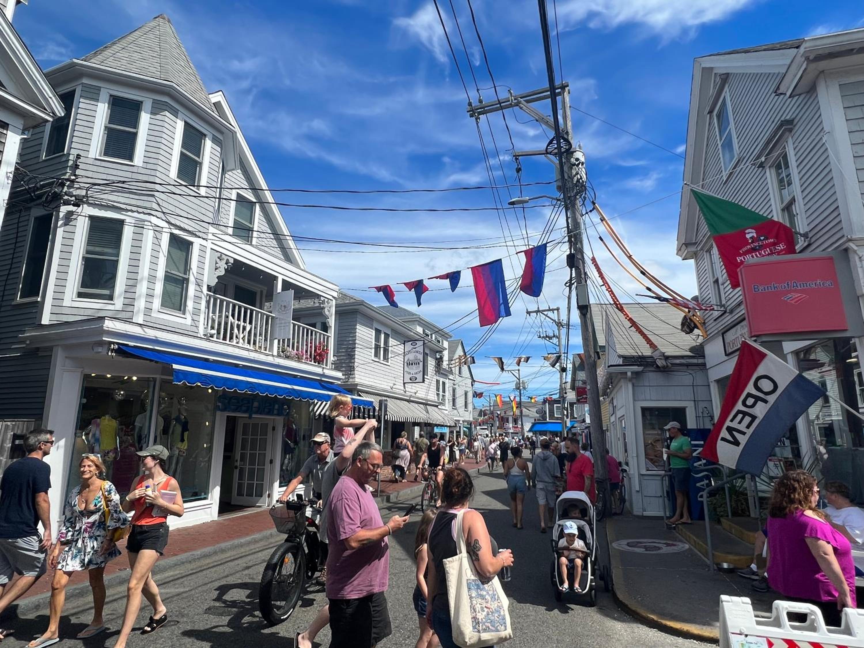 Lotus Provincetown
