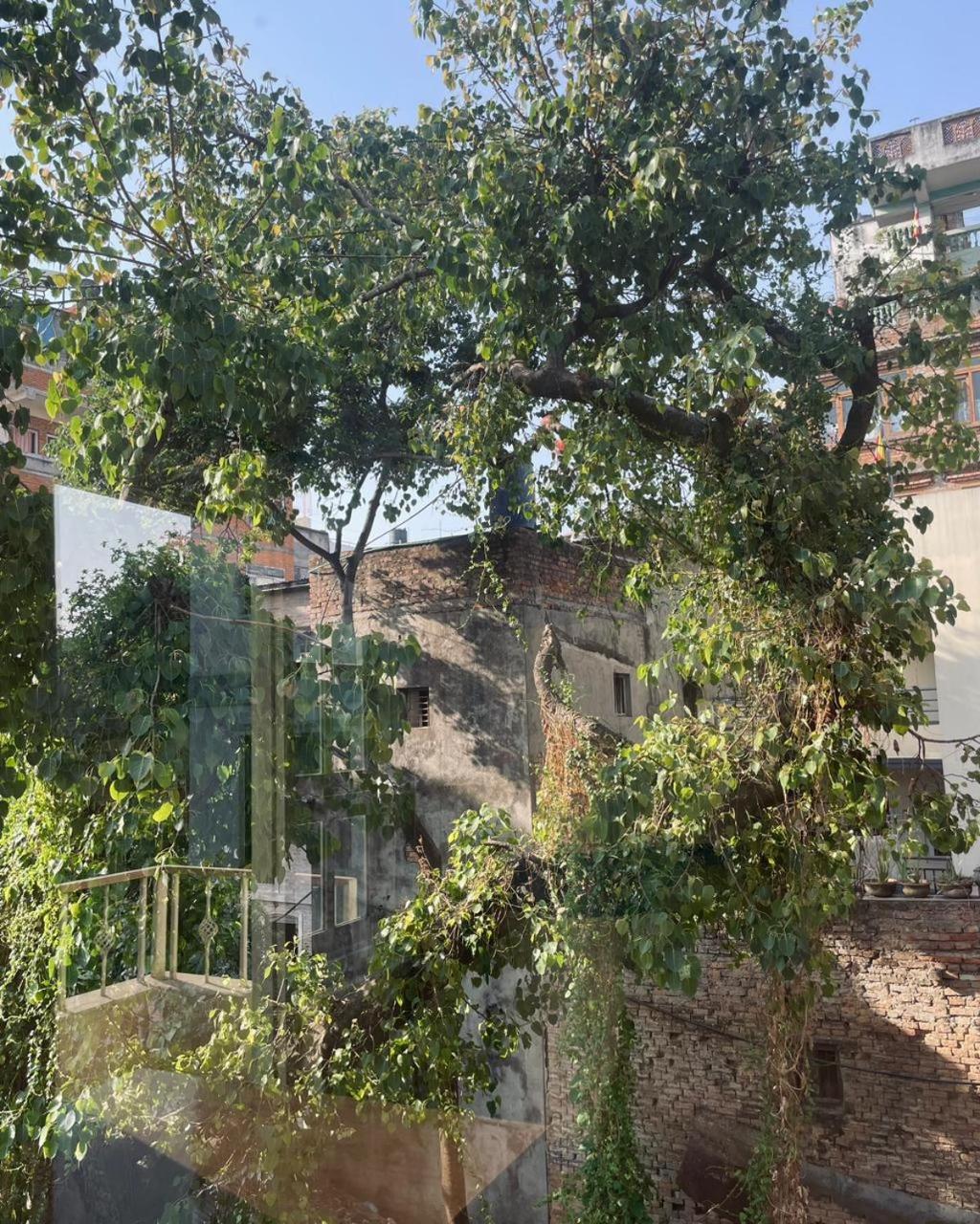 Rooftop Studio and 2BHK Apartments in Kathmandu's most happening place