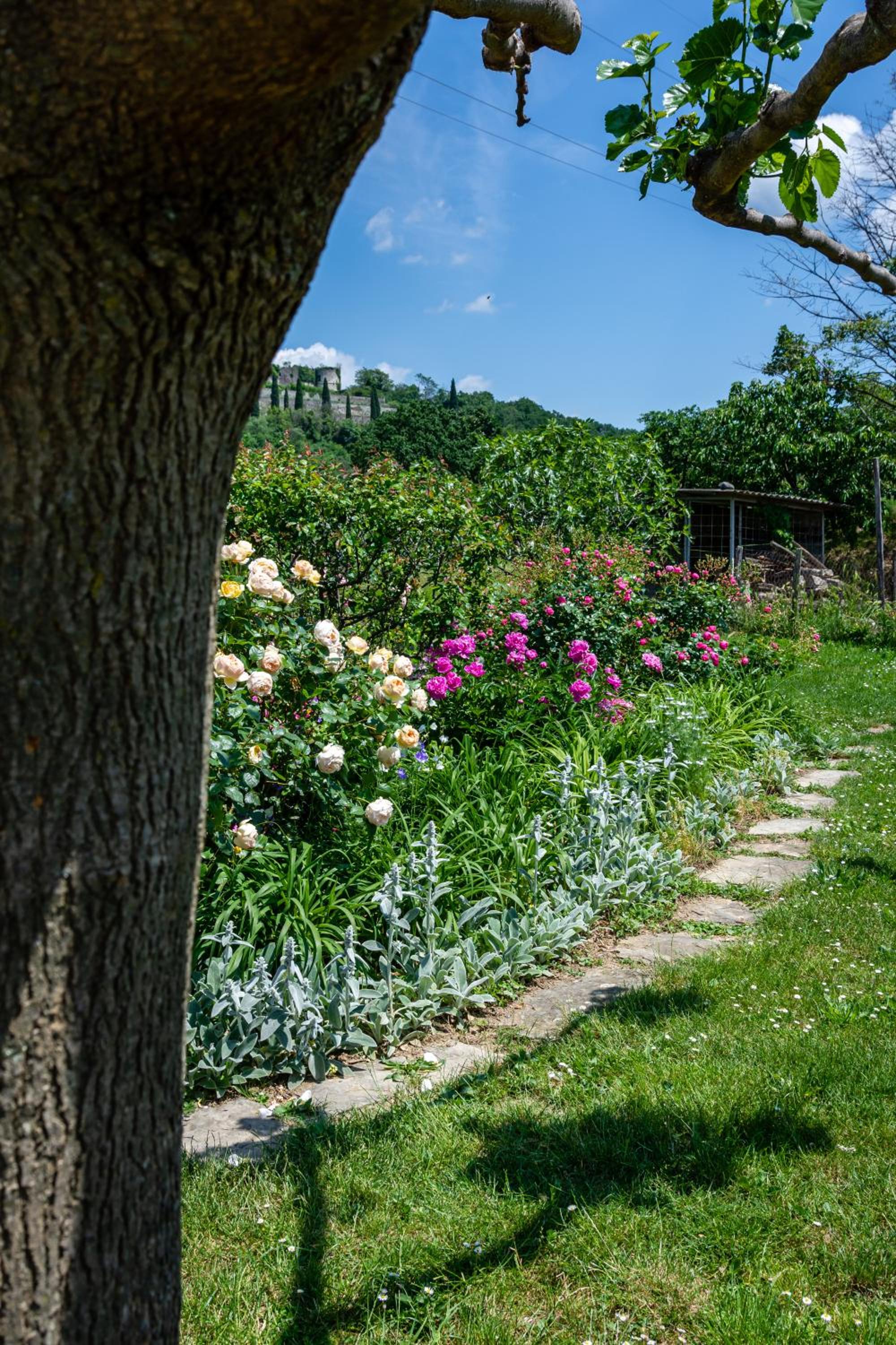 Rooms&Vinery Bregovi - Sobe in vinska klet Bregovi view 4