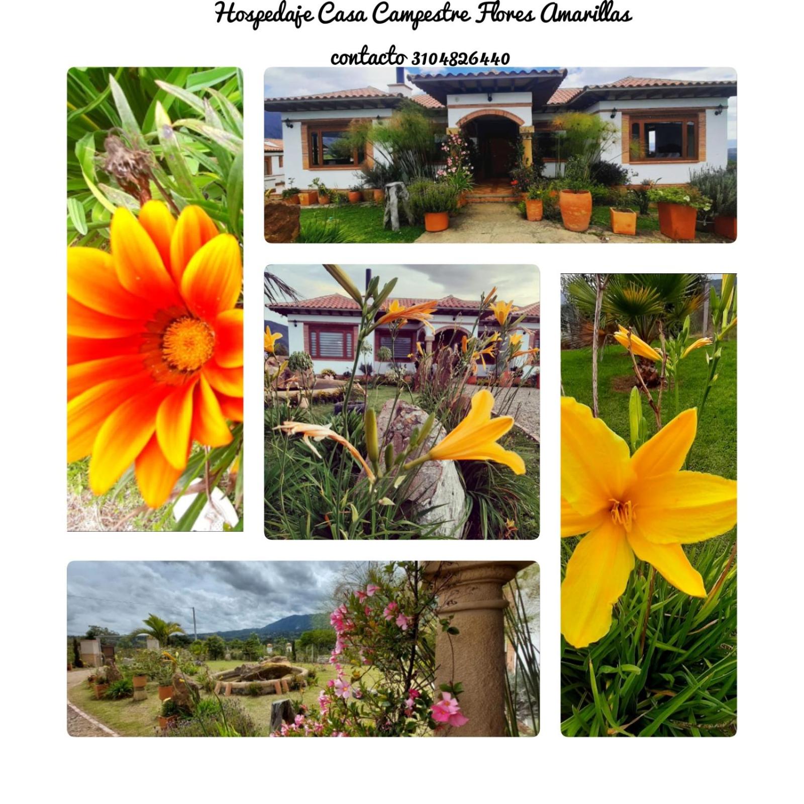 Home Boutique Flores Amarillas
