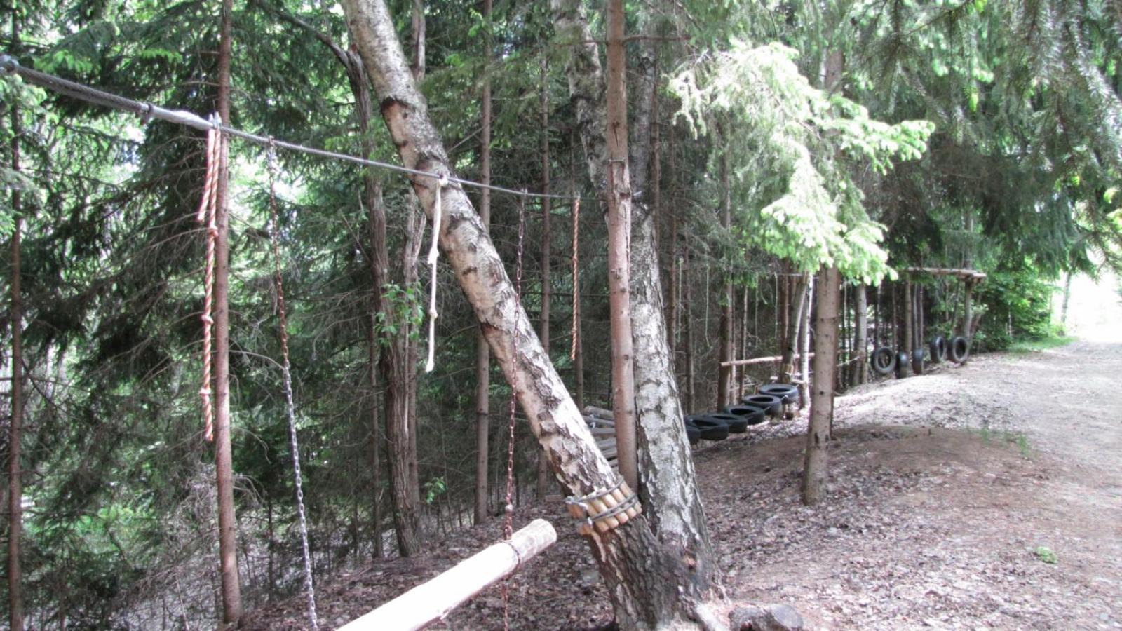 Photo 8