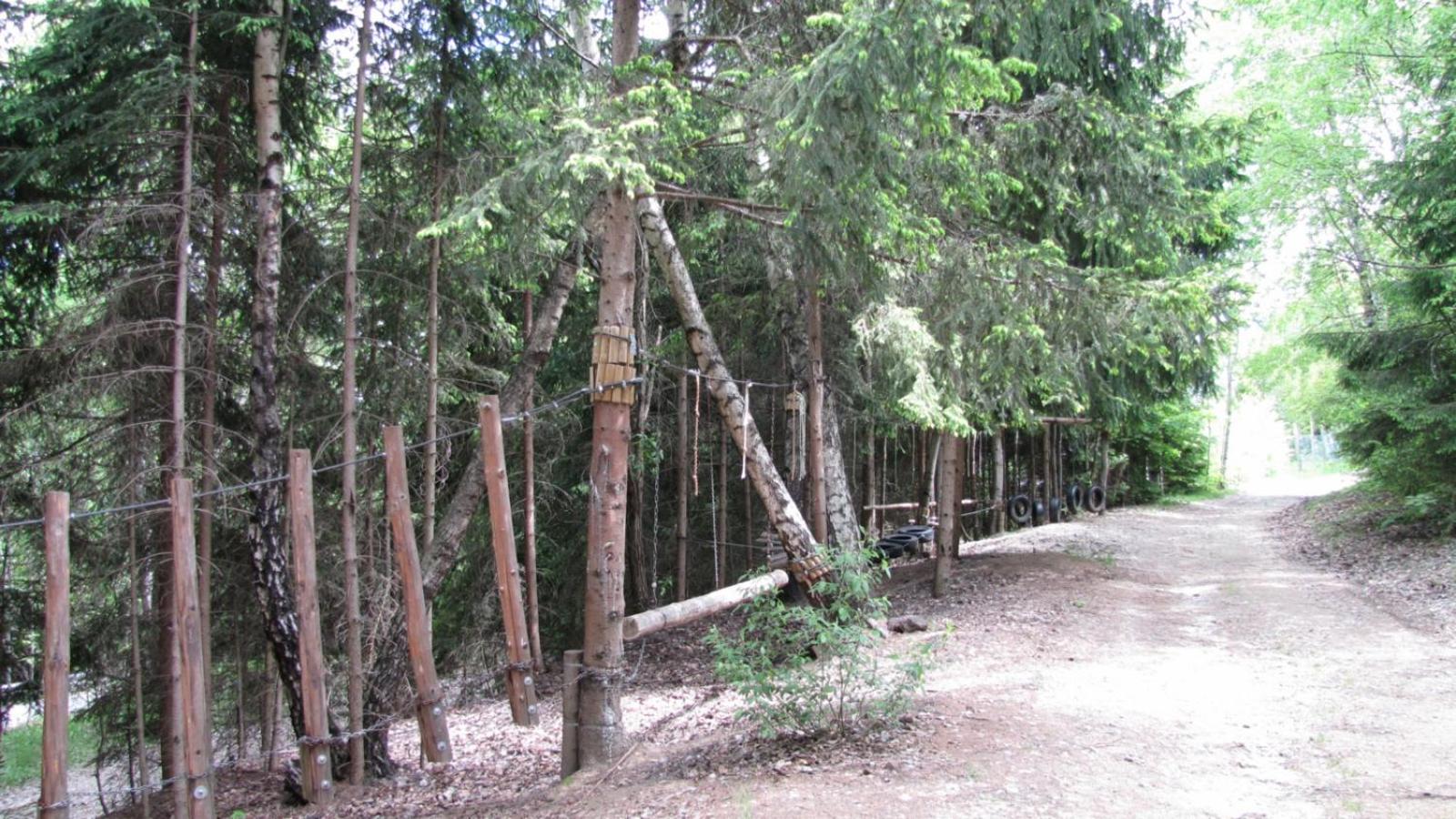 Photo 9