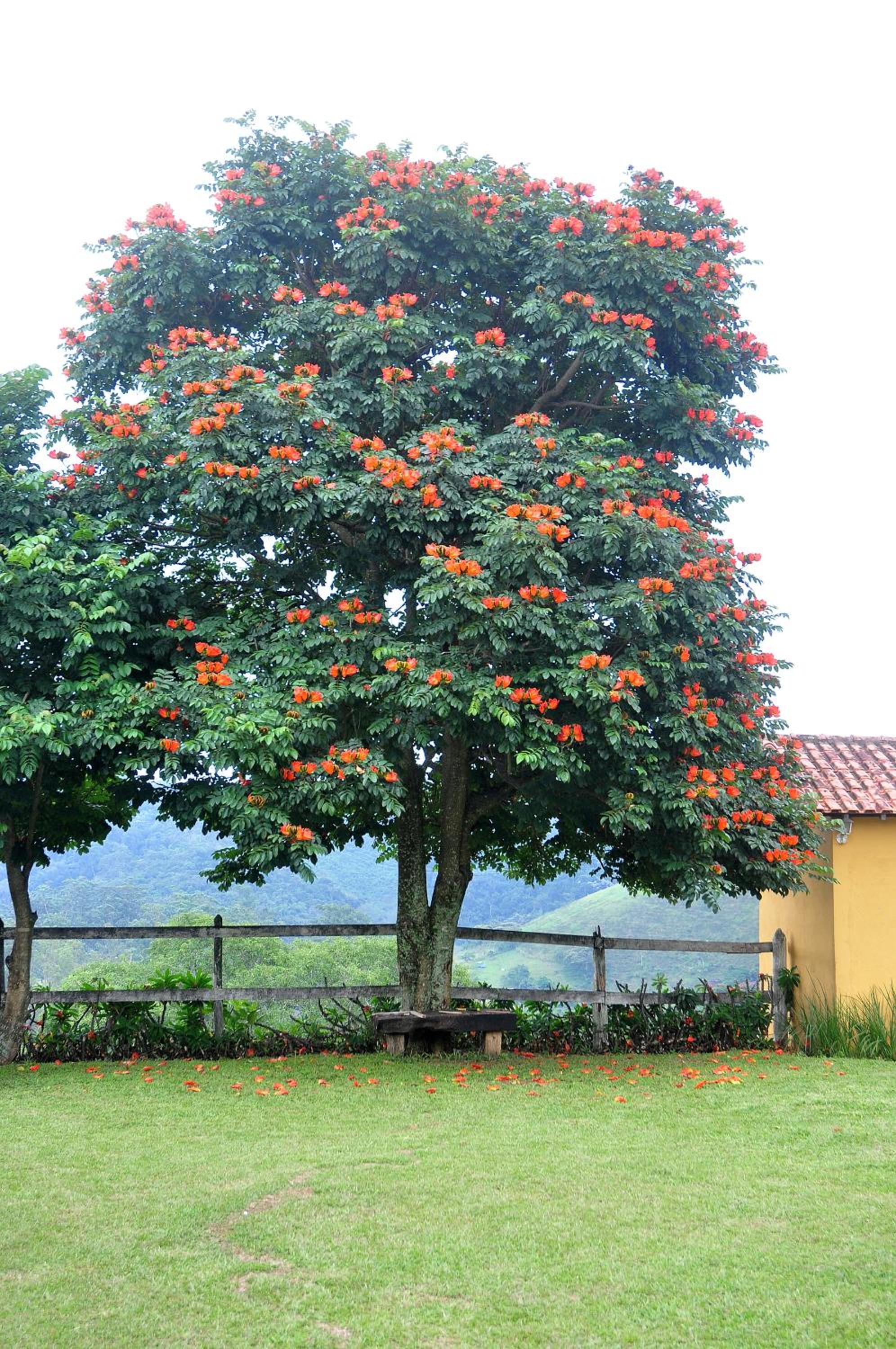 Pousada Chapadão