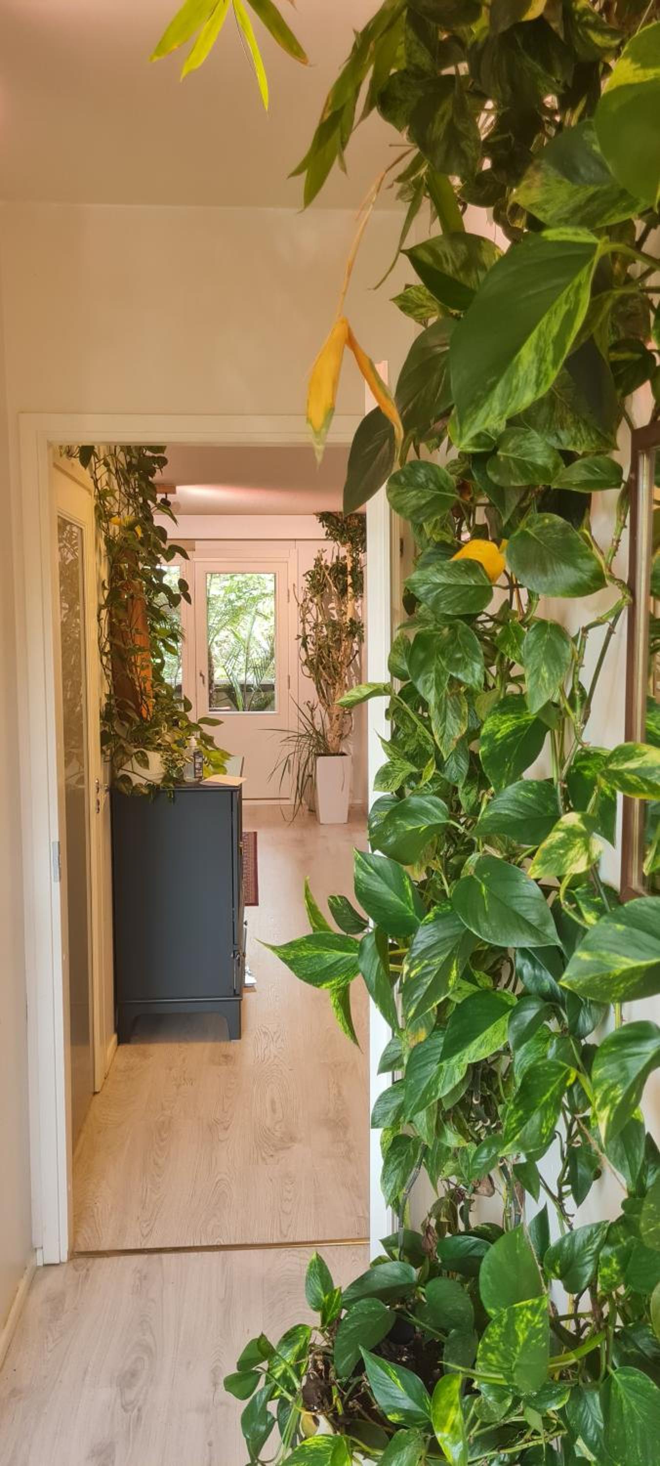 Paradise apartment