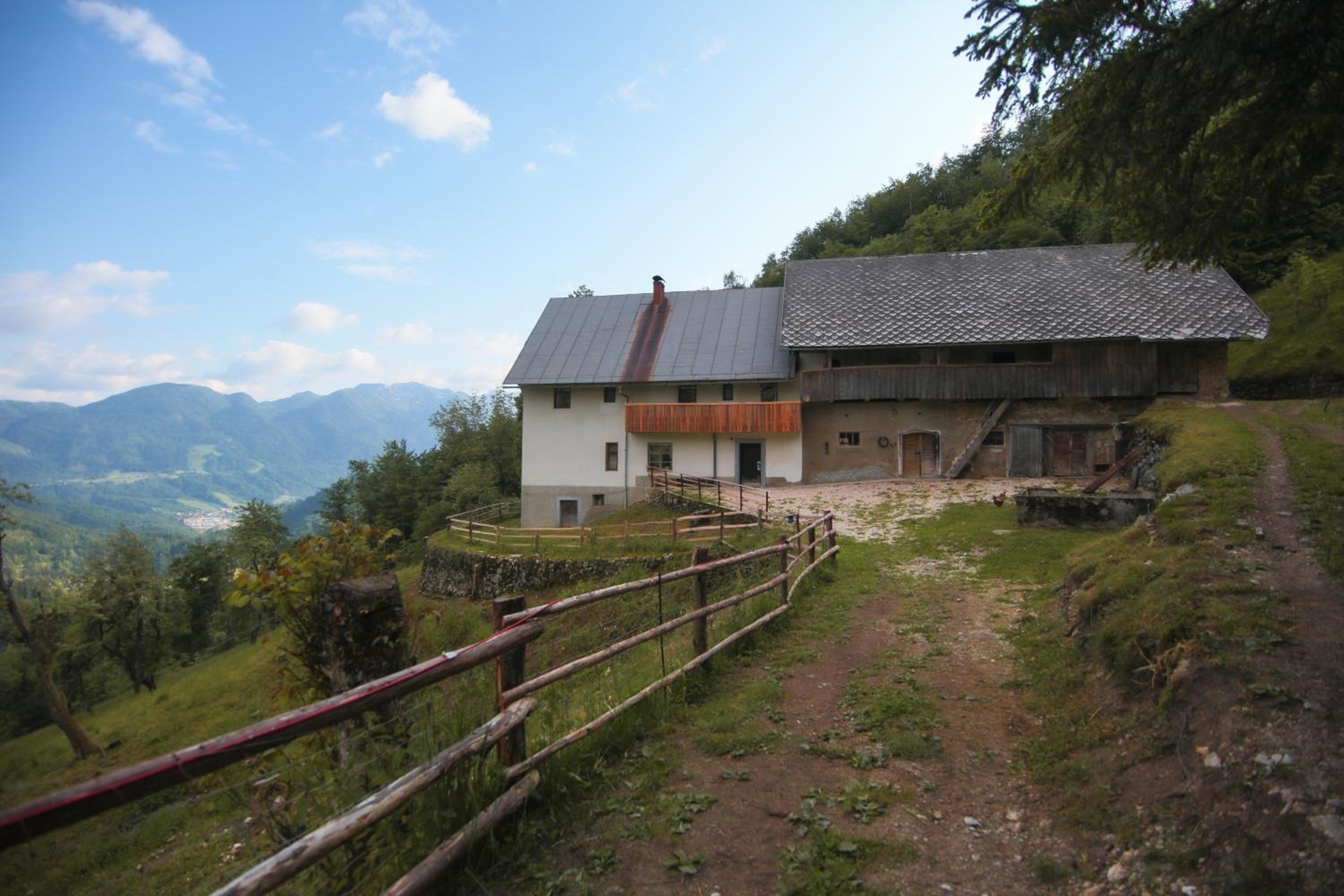 Photo 33