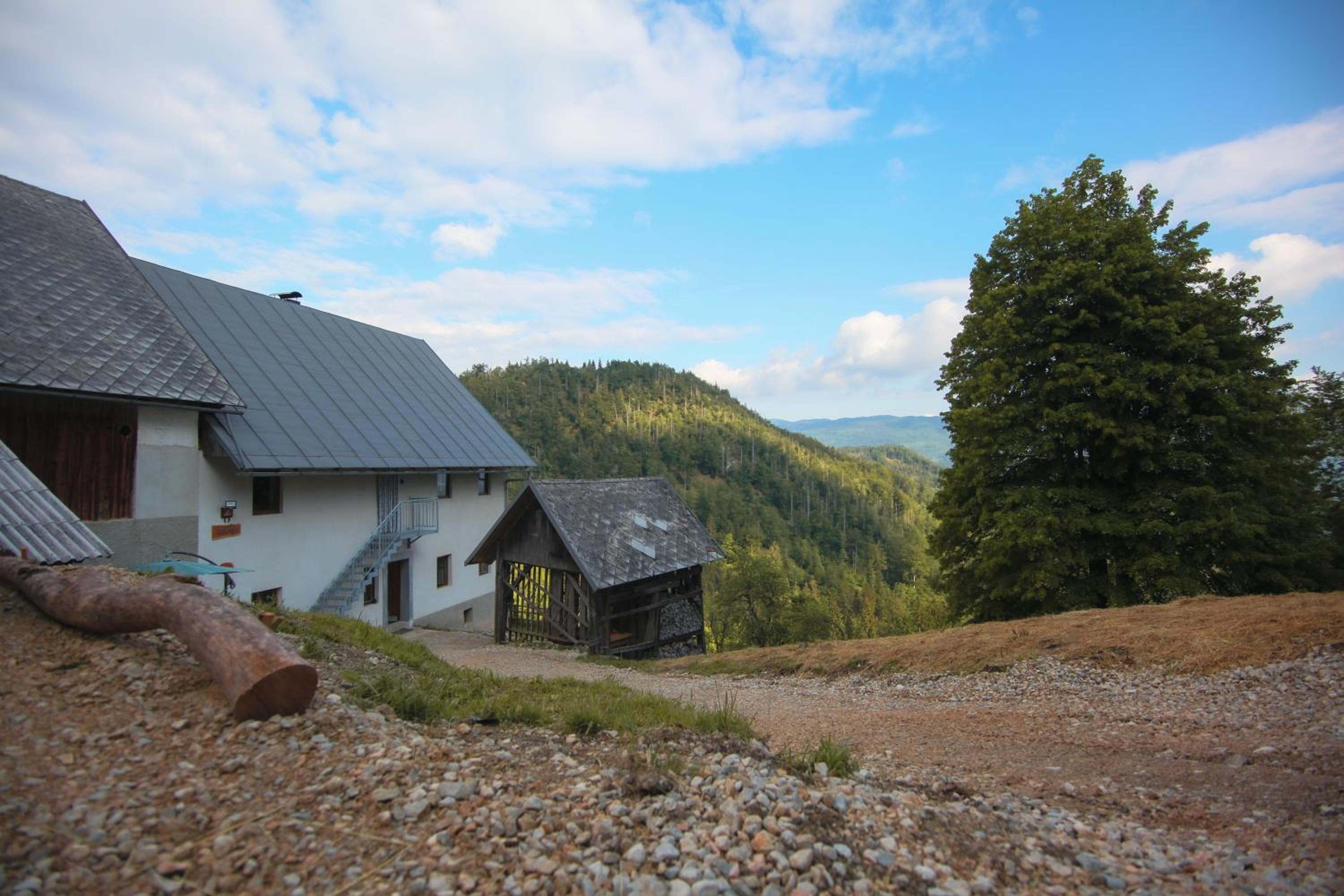 Apartma Gorski razgled view 2