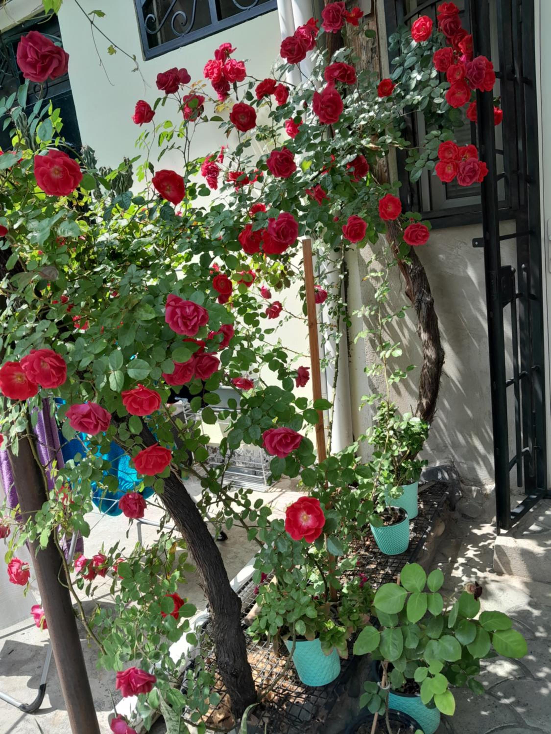 Photo 14