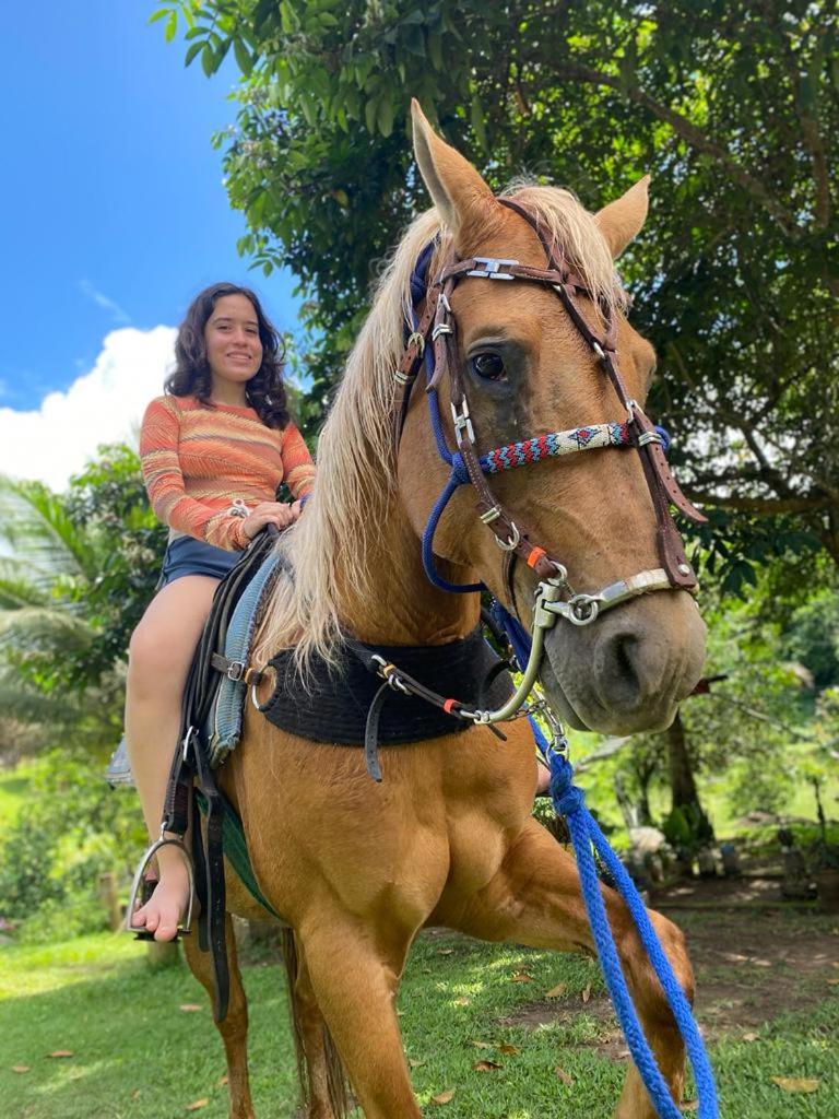 Pousada Toca da Coruja