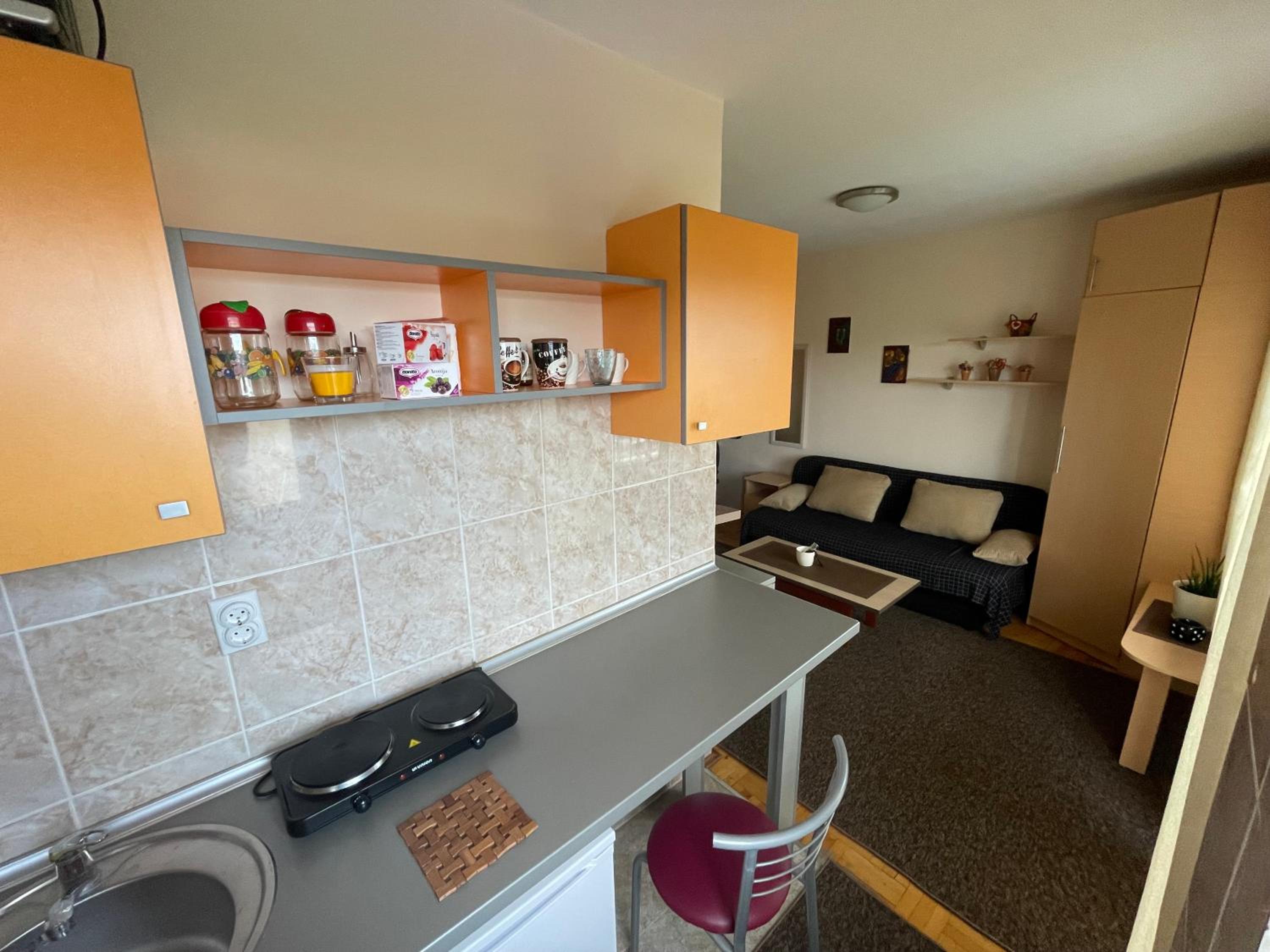 Roof Apartment Nis view 3