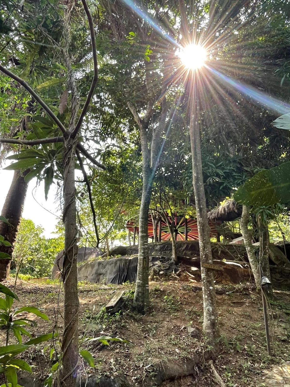 EcoHostal Rio Piedra