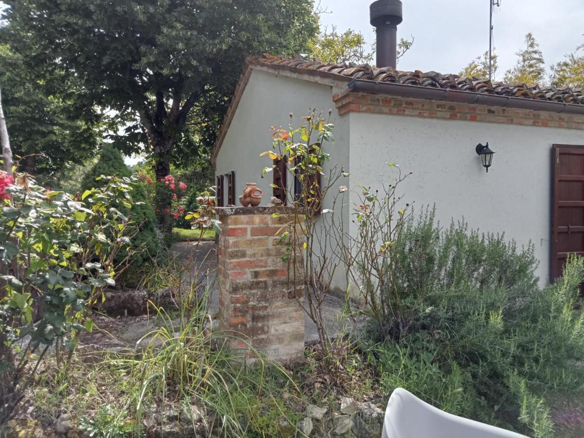 Casa RosaMatilda