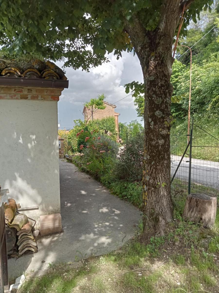 Casa RosaMatilda