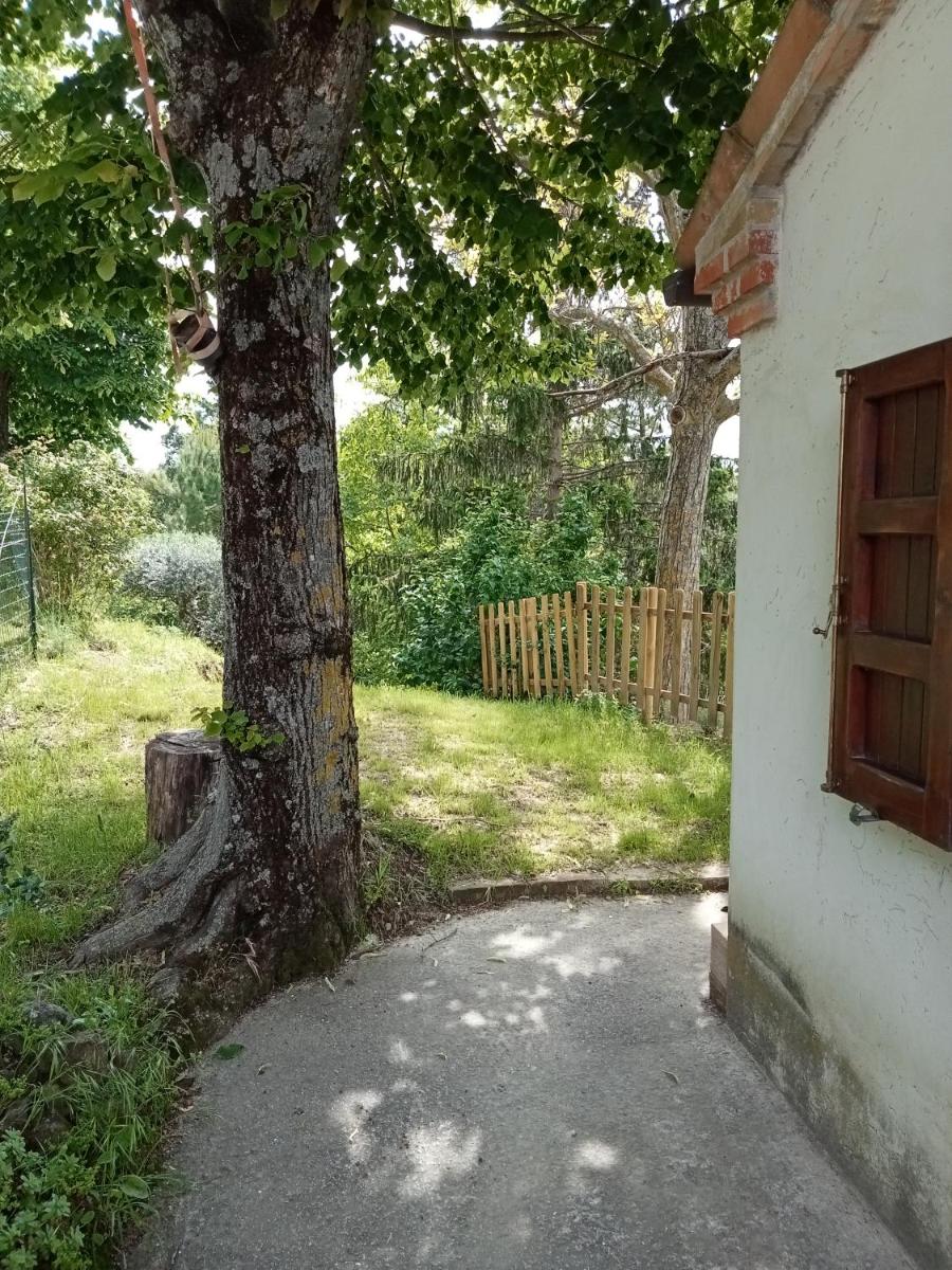 Casa RosaMatilda