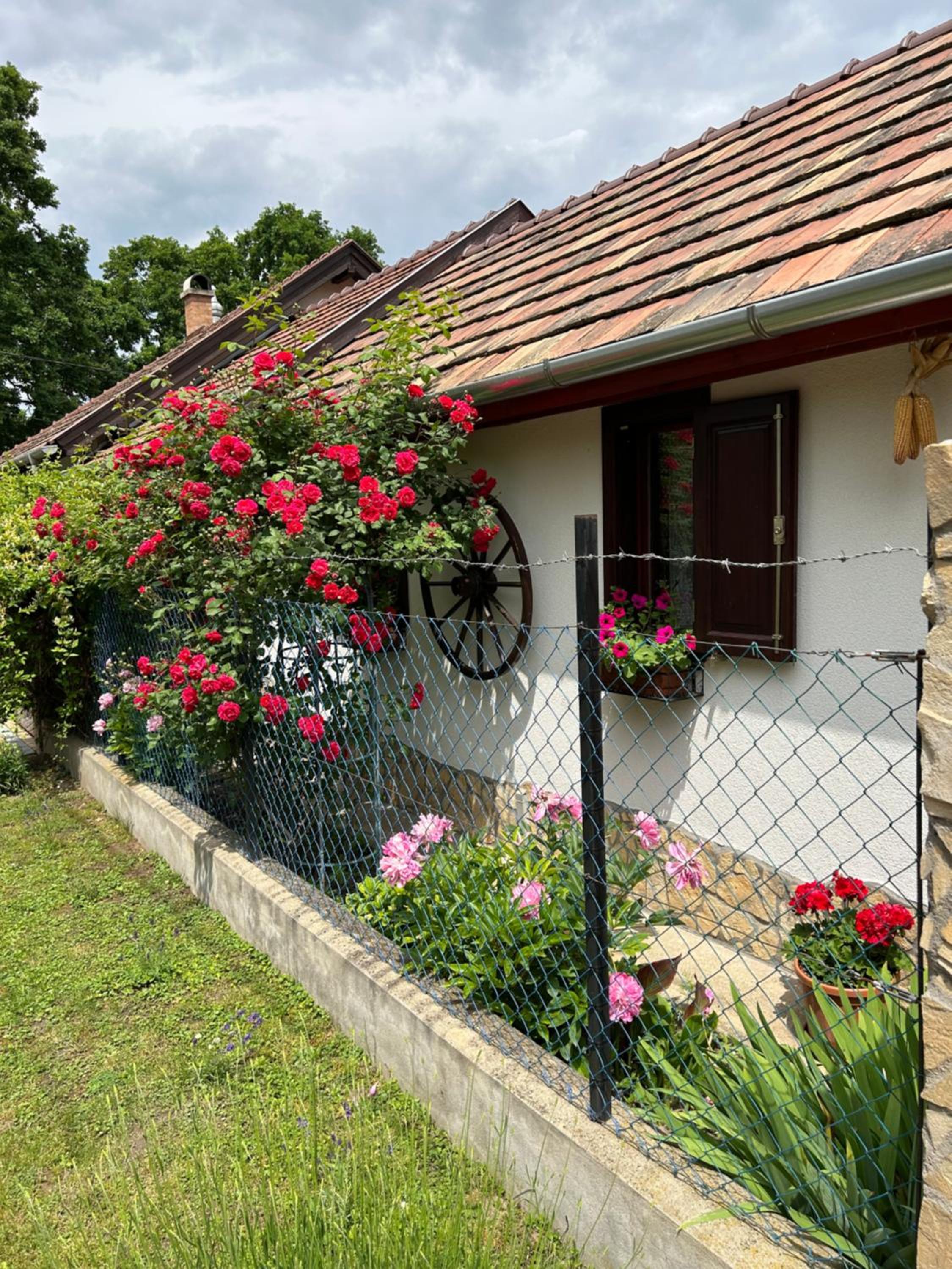 CSAOL Apartman ház view 2