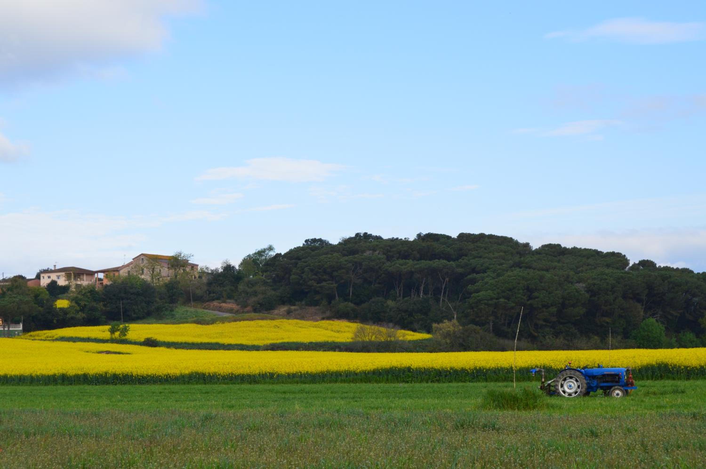 Rural Sant Llop