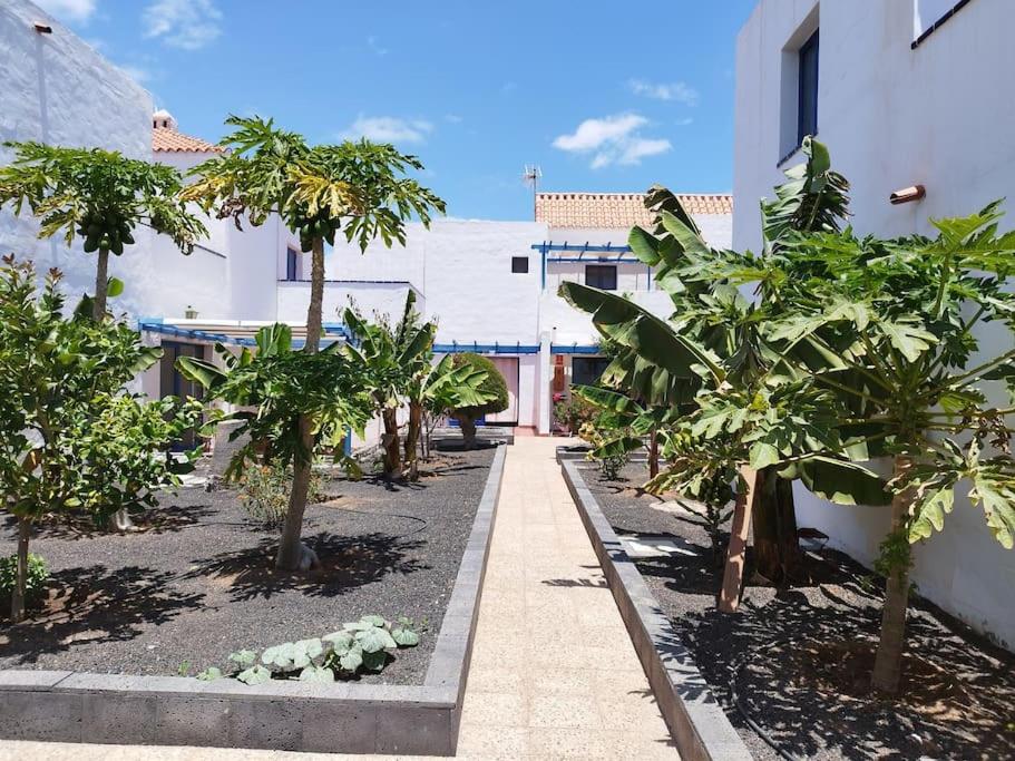 Air-conditioned flat Casa Freesia Caleta de Fuste
