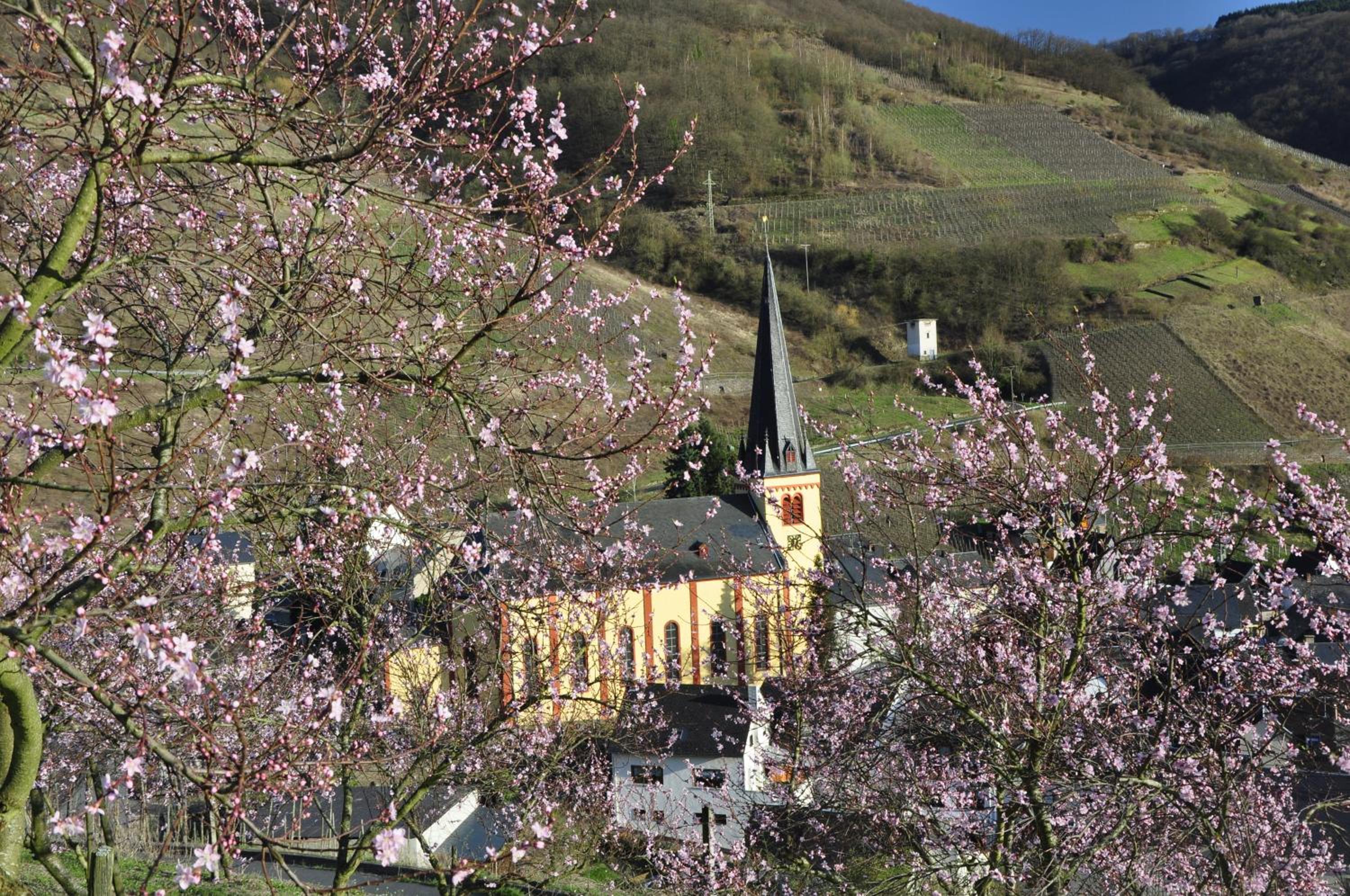 Gästehaus Sehl