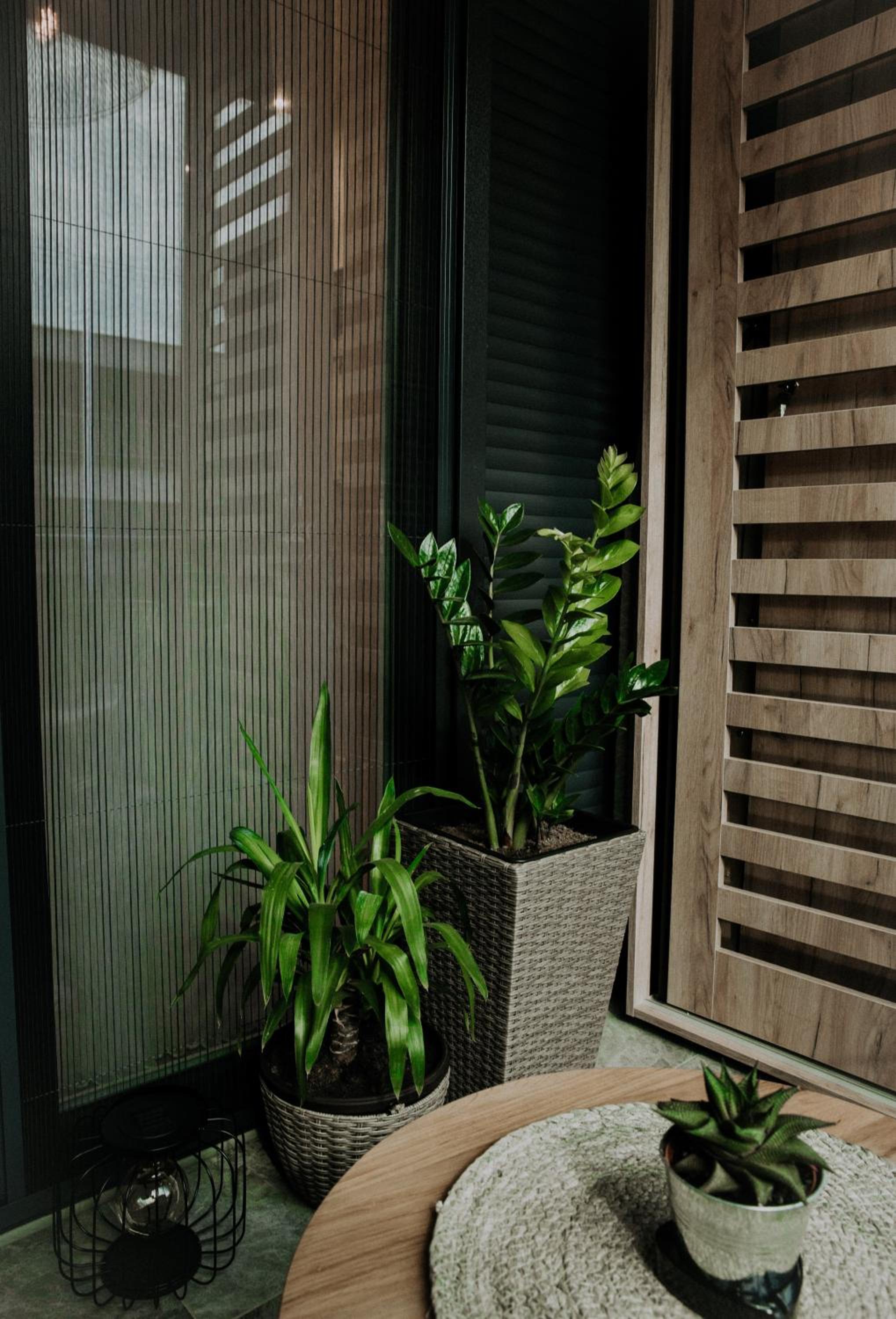 Apartman Pelagić