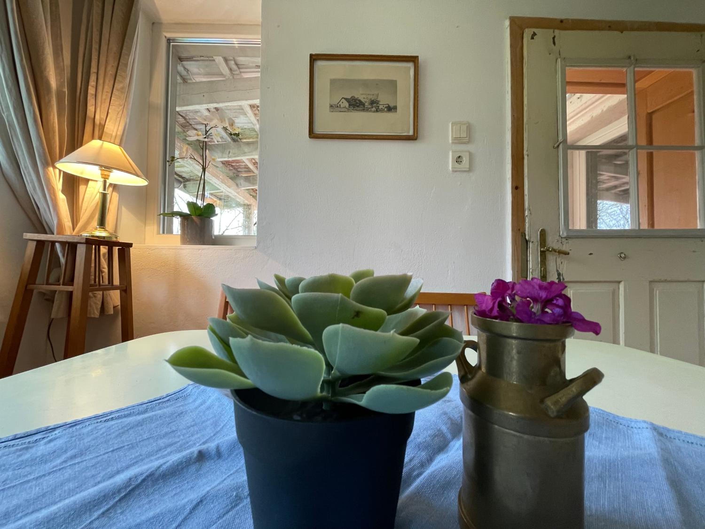Charmantes Arkadenhaus mit großem Garten