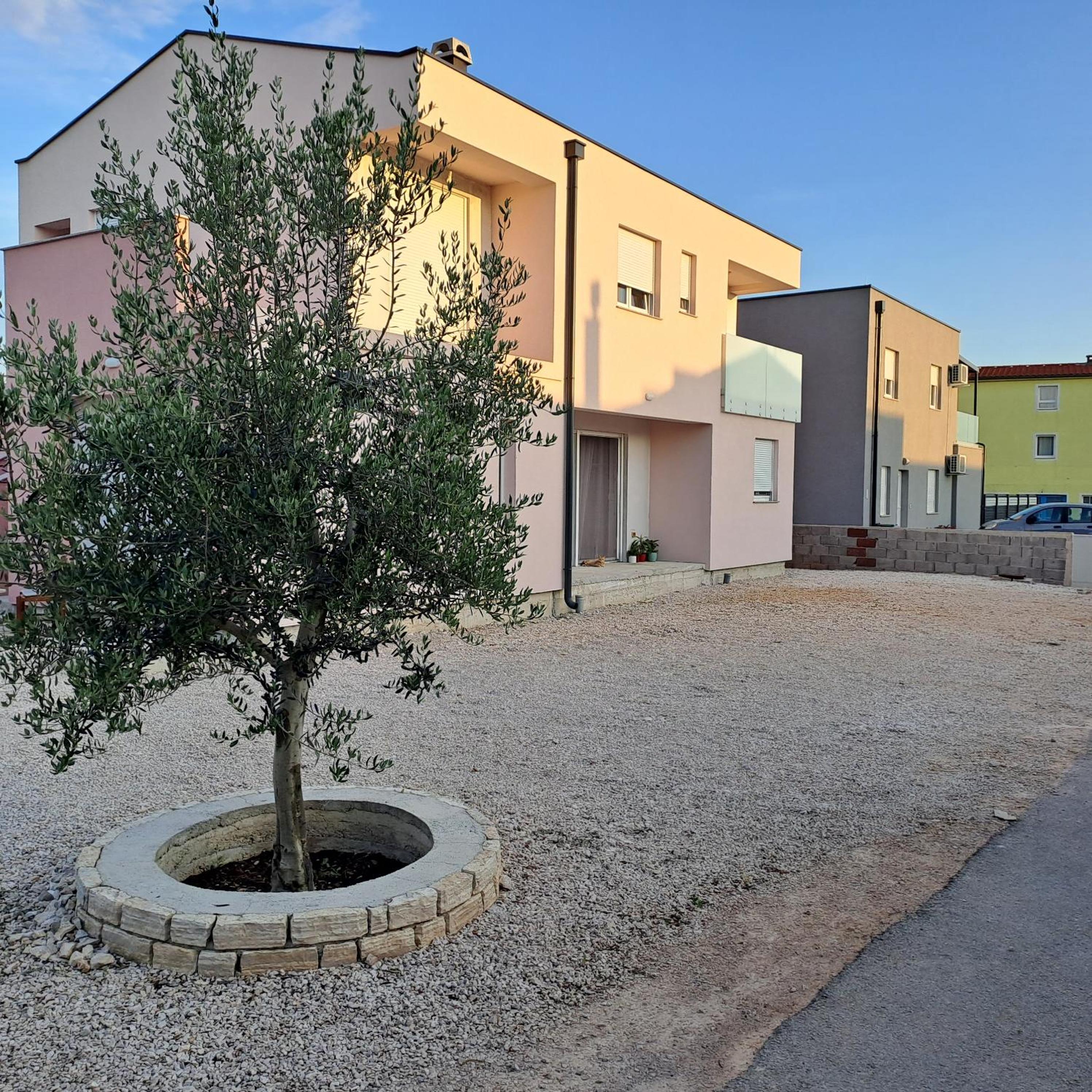 Apartmans Maslina