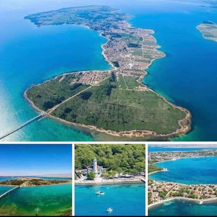 Apartmans Maslina
