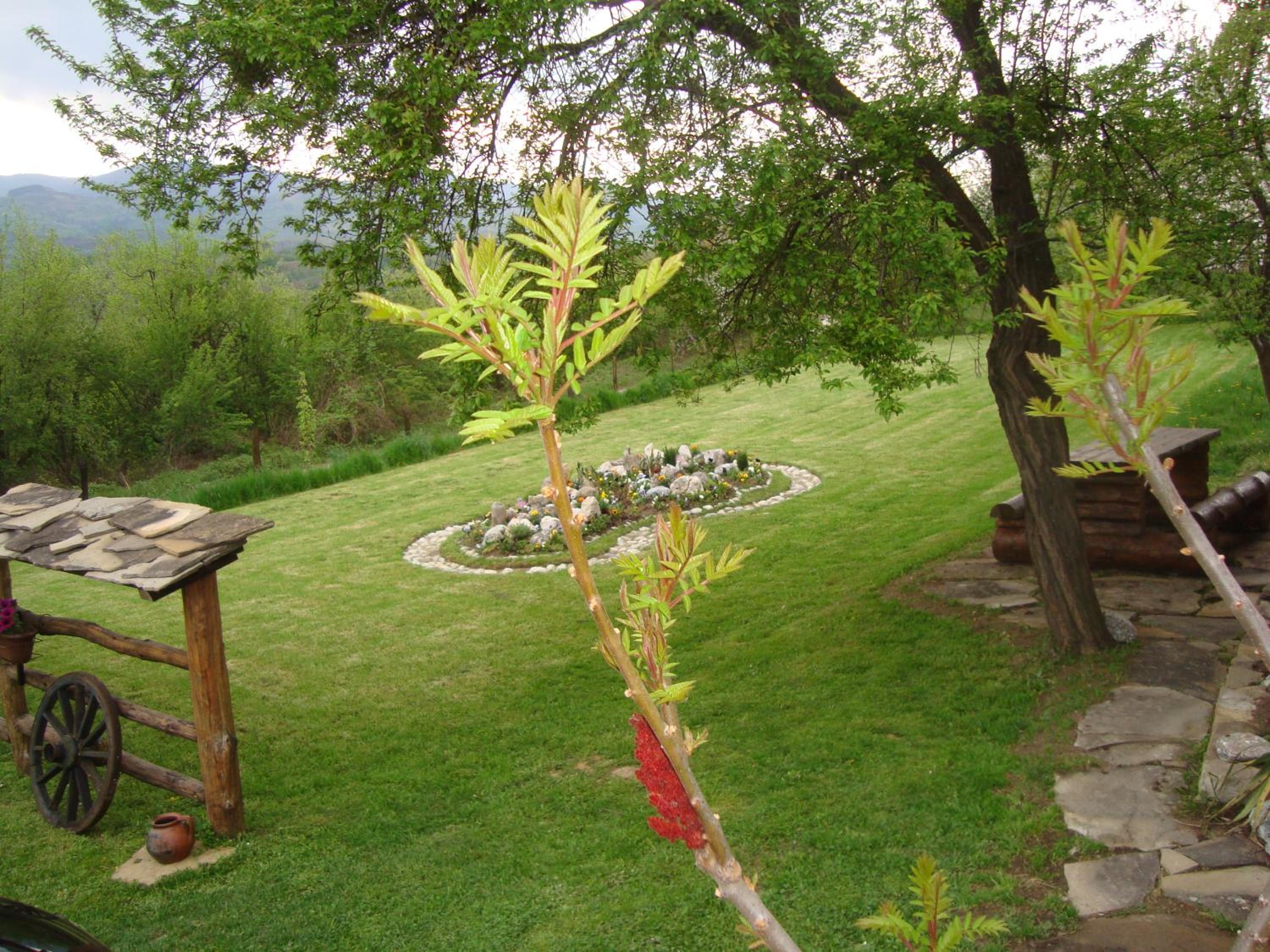Guest House Tsvetina