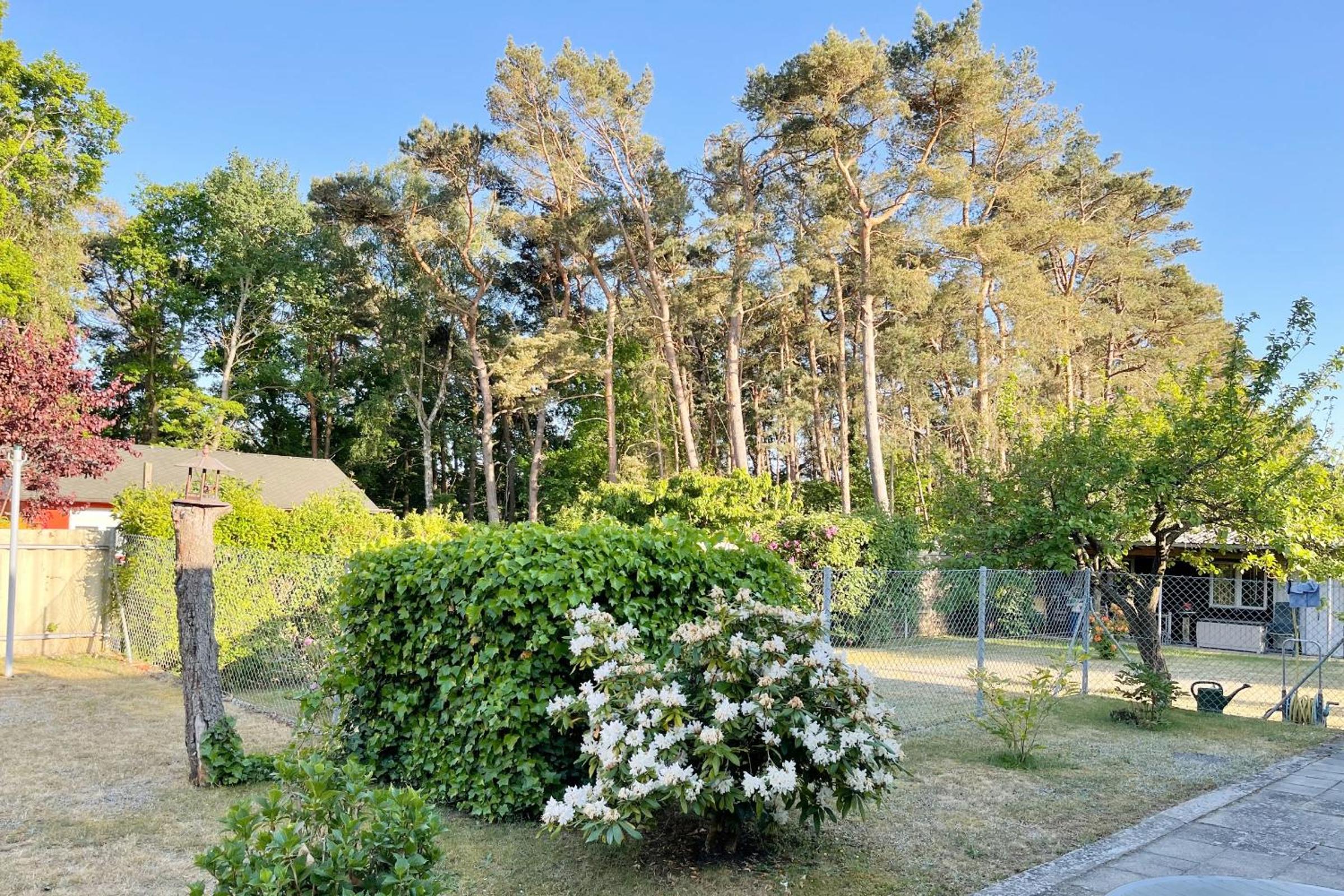 Bungalow Bergstrasse 3 Ferienwohnung 1
