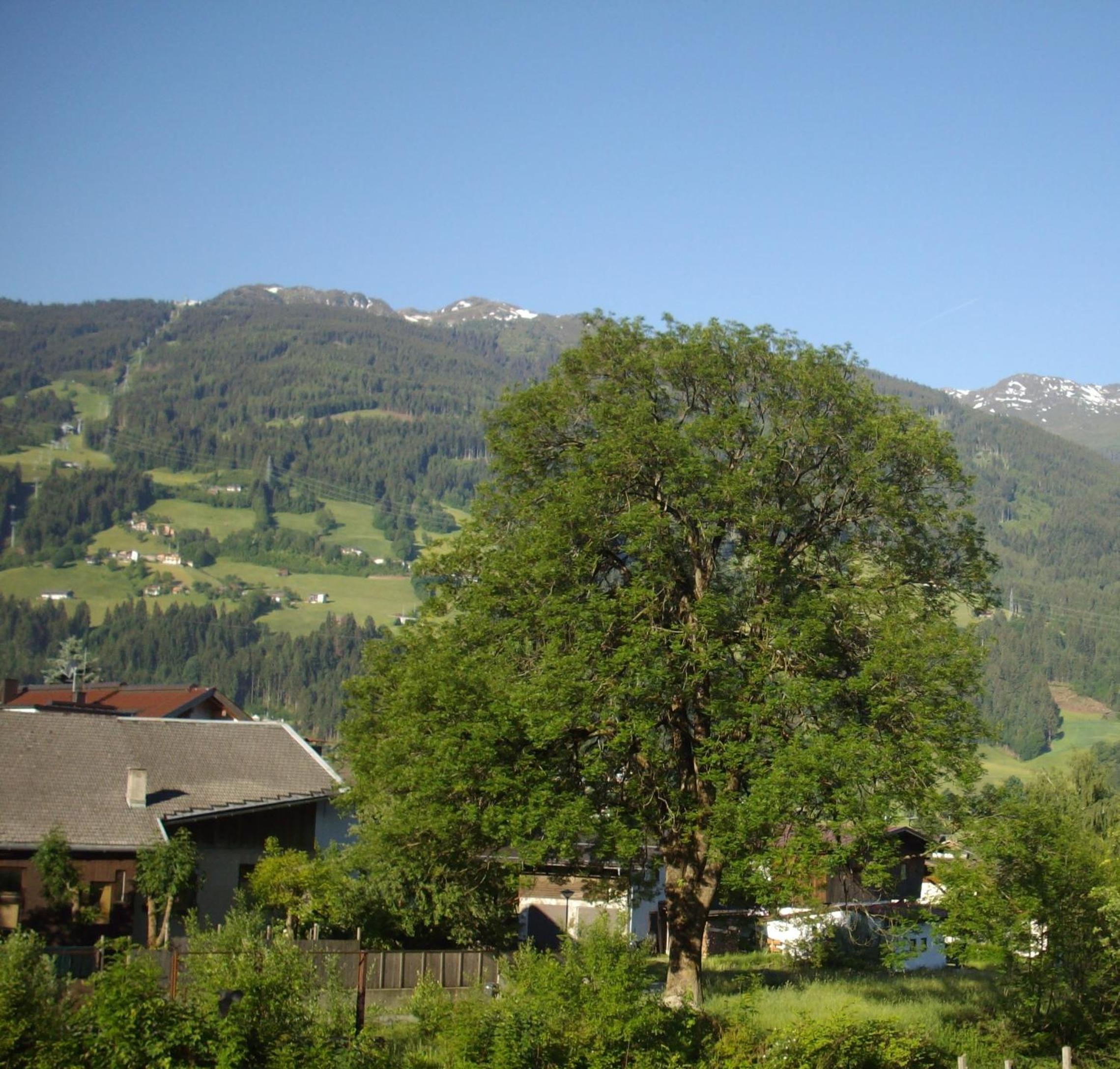 Ferienhaus Zillertal