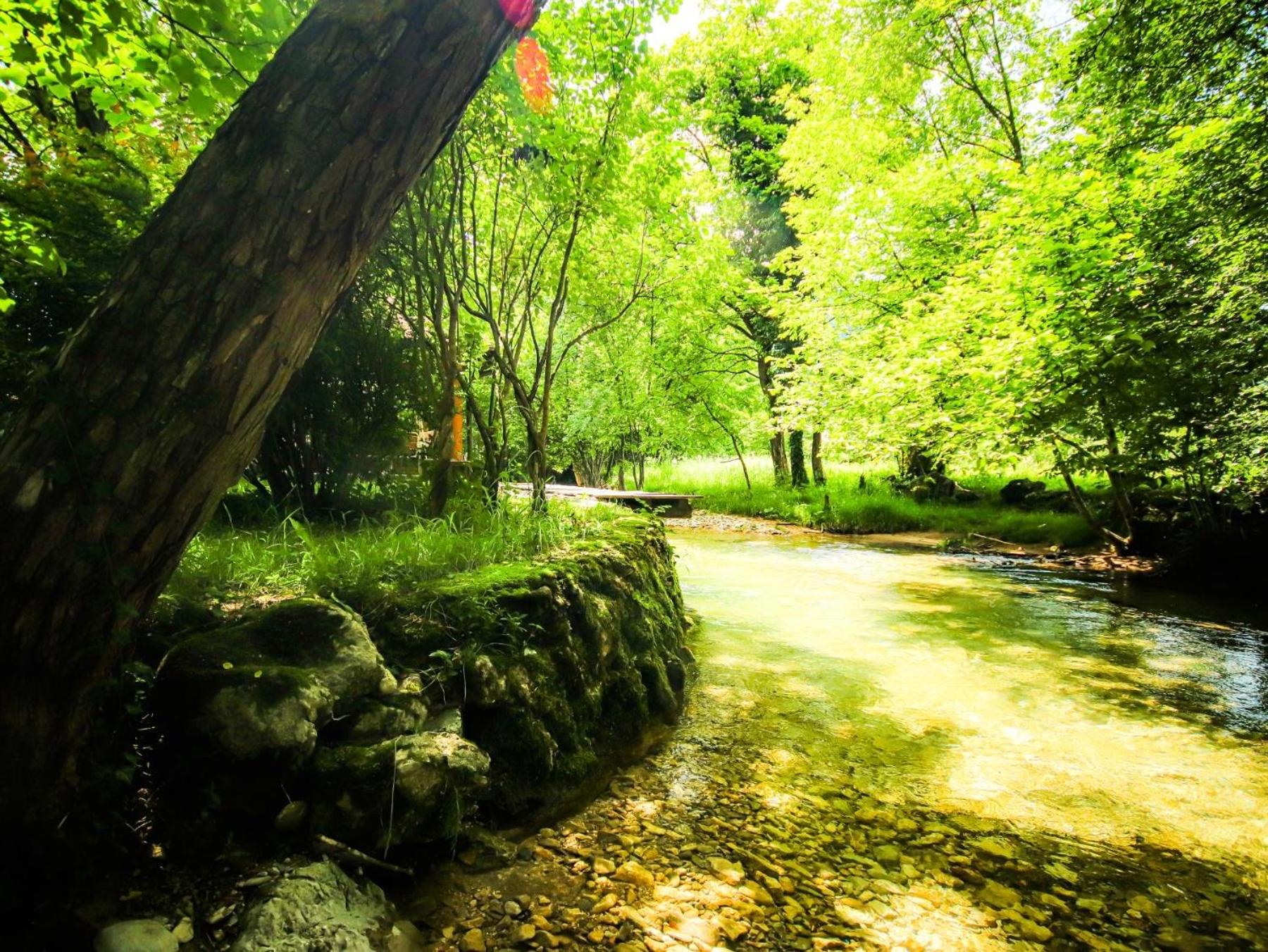 Home Eden Dobrenica