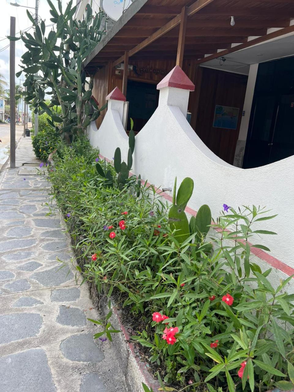 Hostal Brisas Del Mar