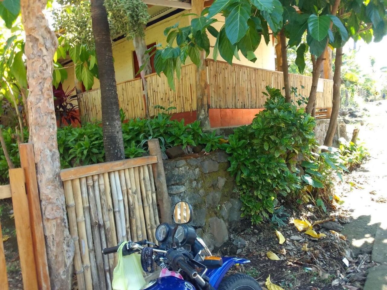 Photo 38